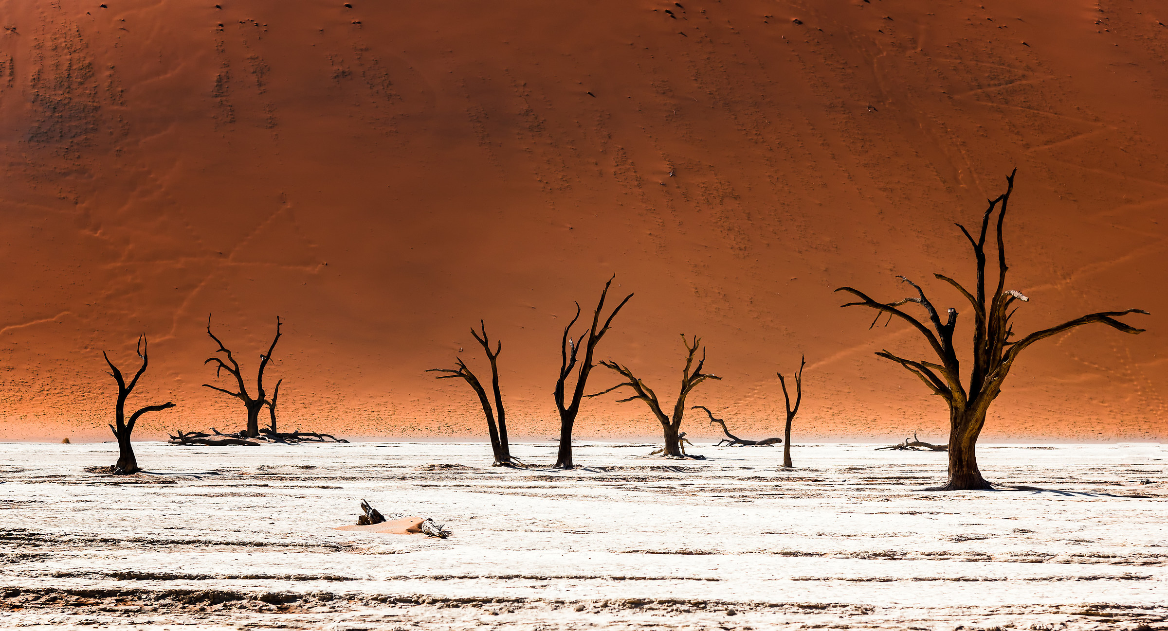 Terra di non ritorno