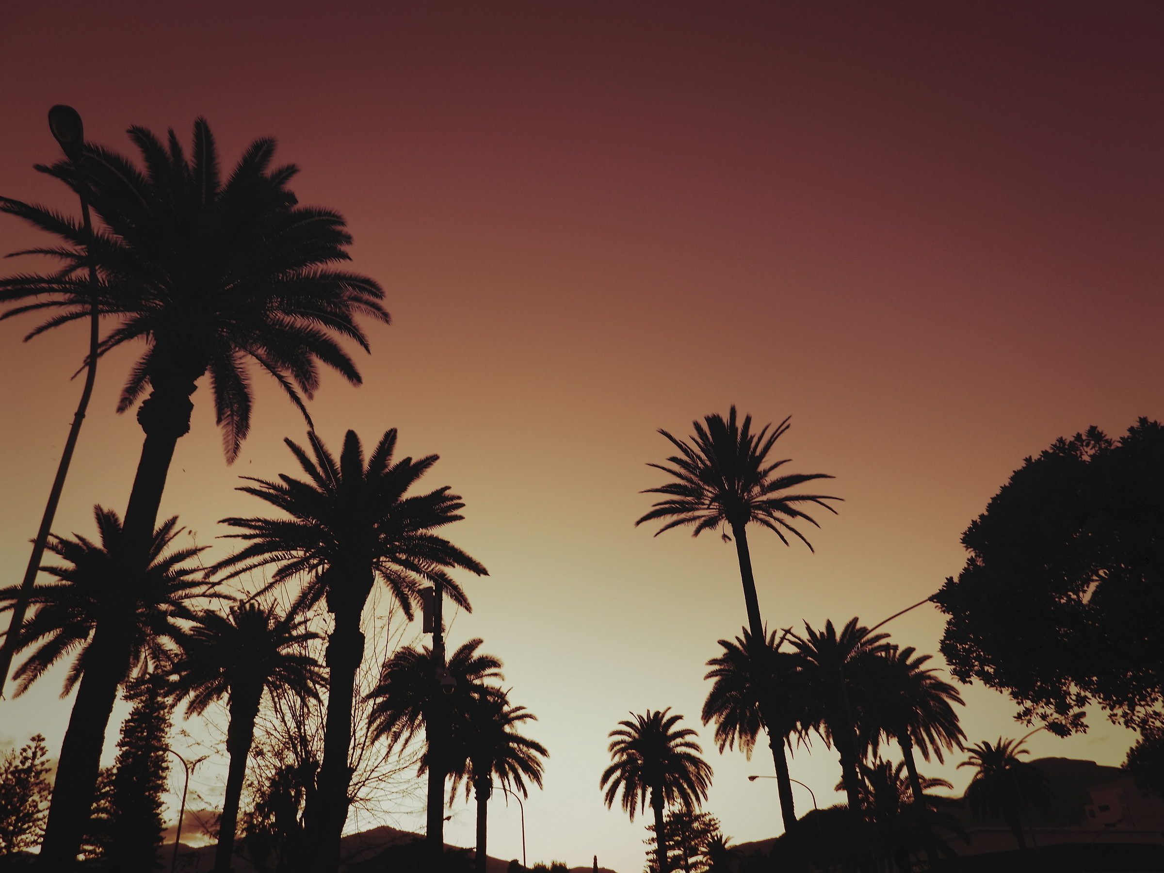 Palermosangeles Beach