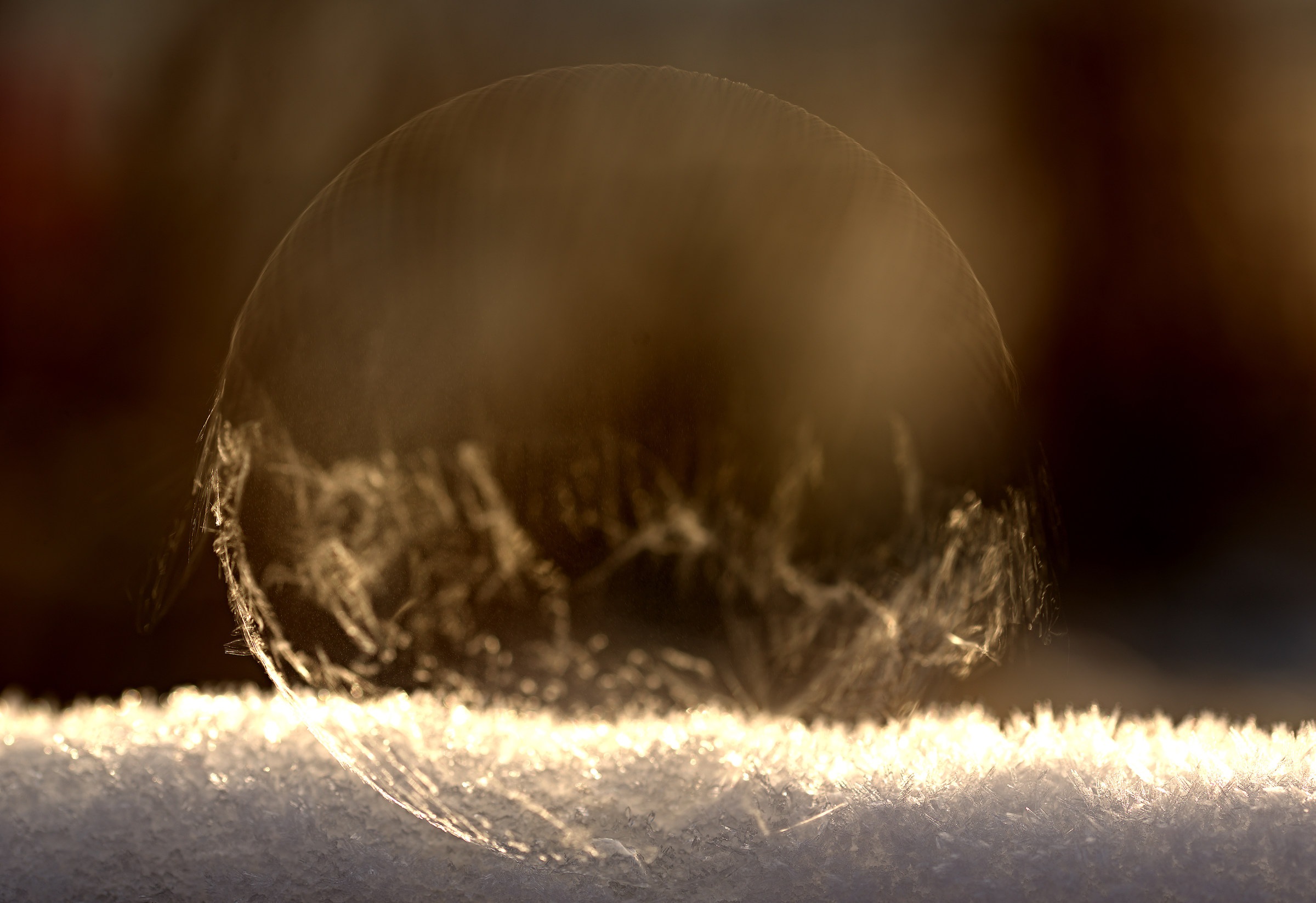 Carpe Diem. The bubble as it bursts...