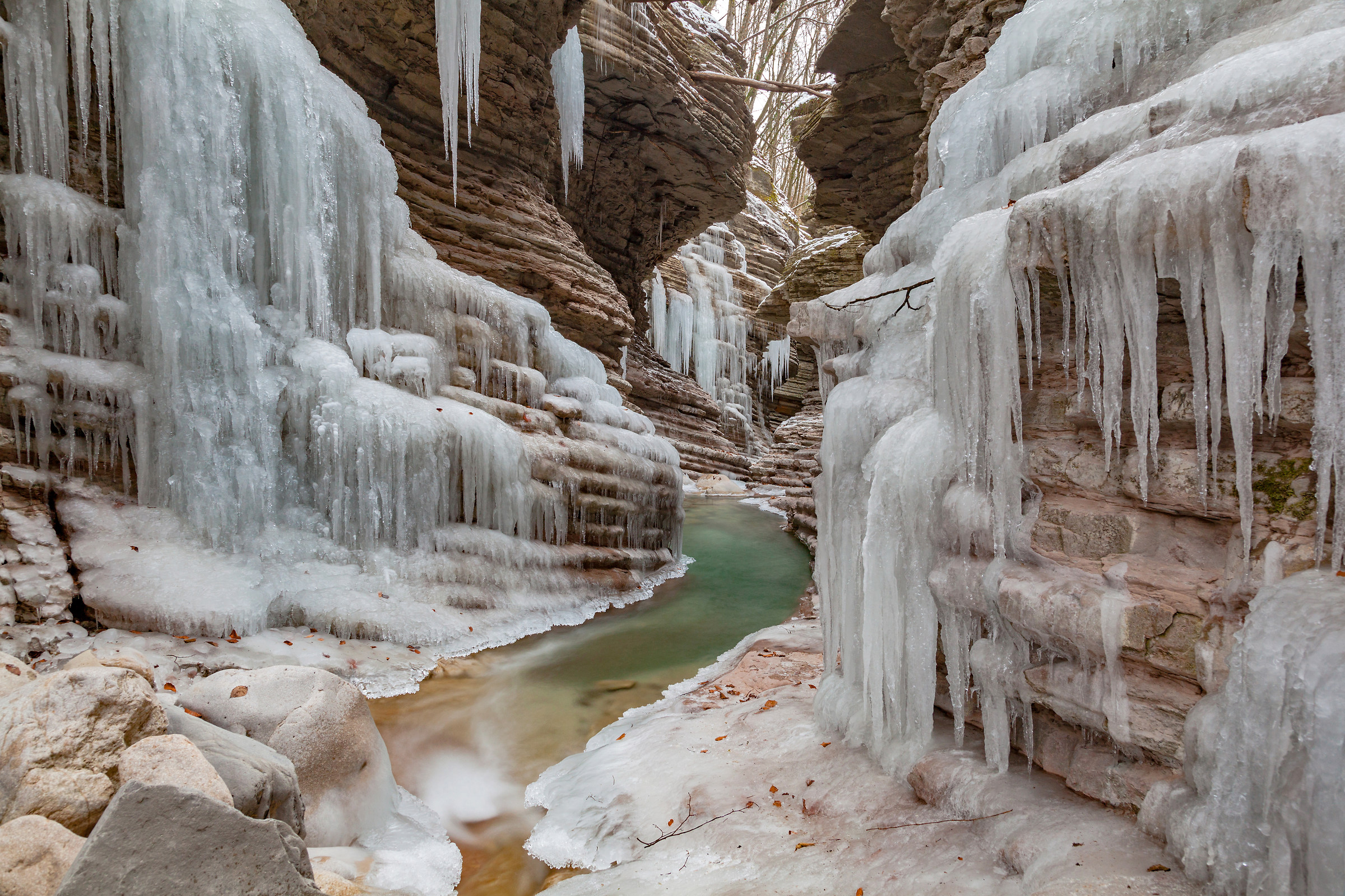 Brent Dell'Art a Trichiana.