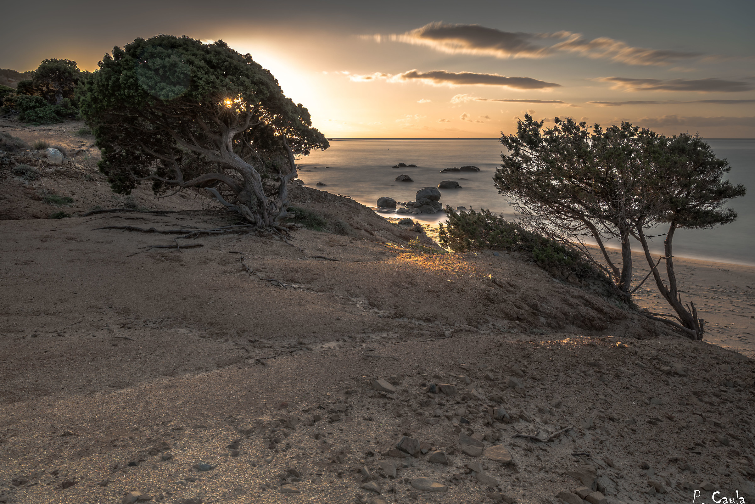 Granite and Junipers