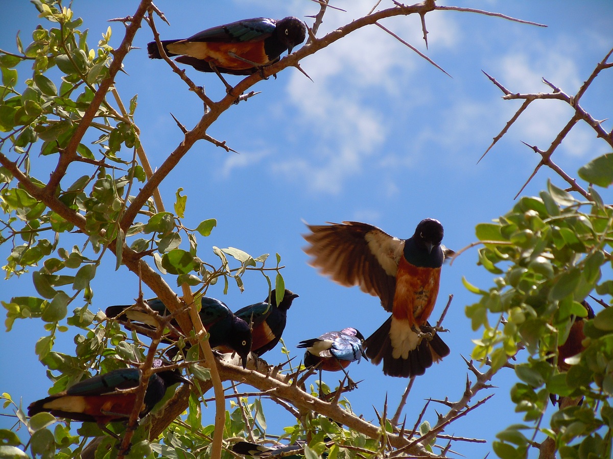 sotto stretto controllo