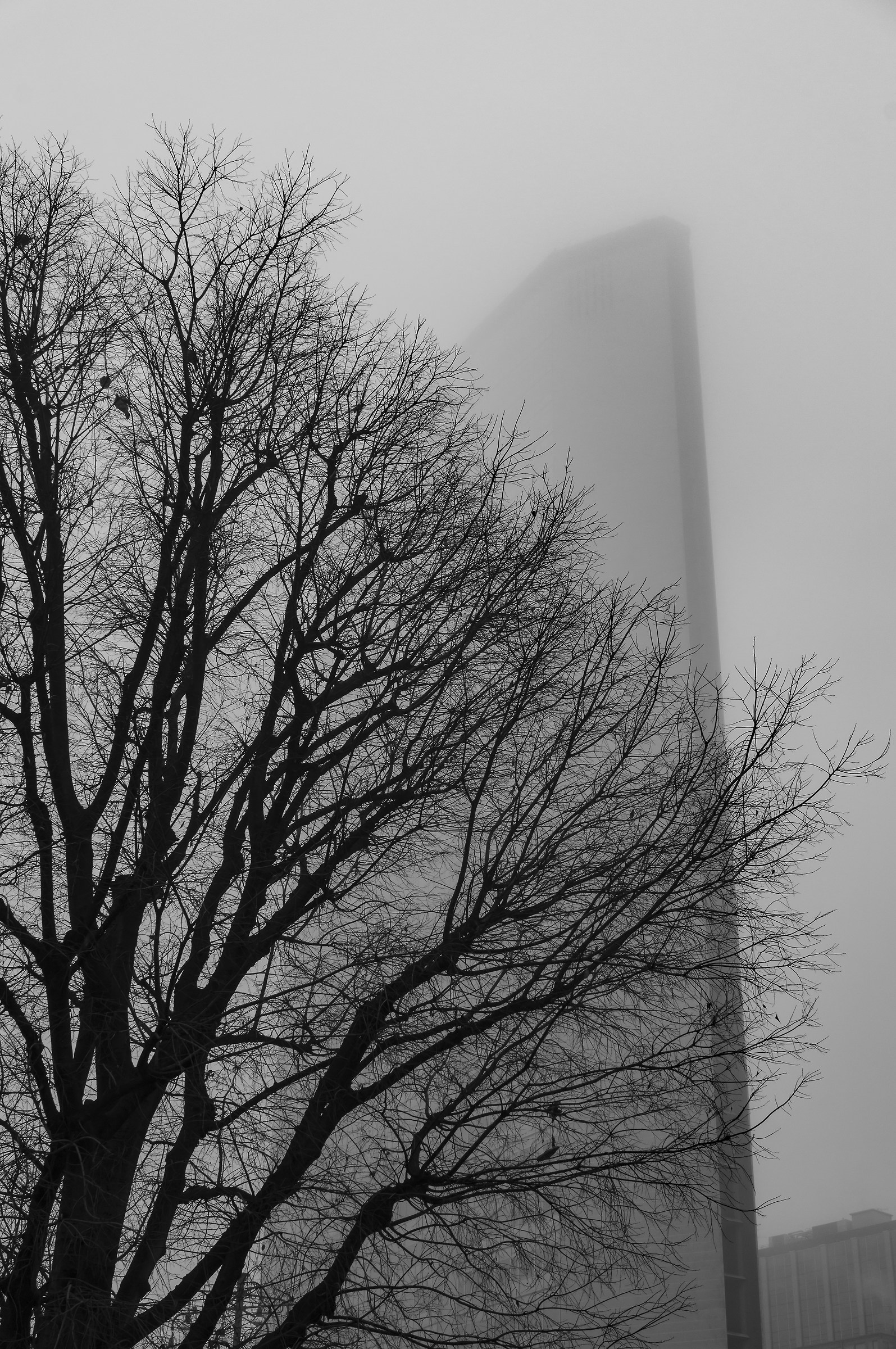 Grattacielo Pirelli - 3