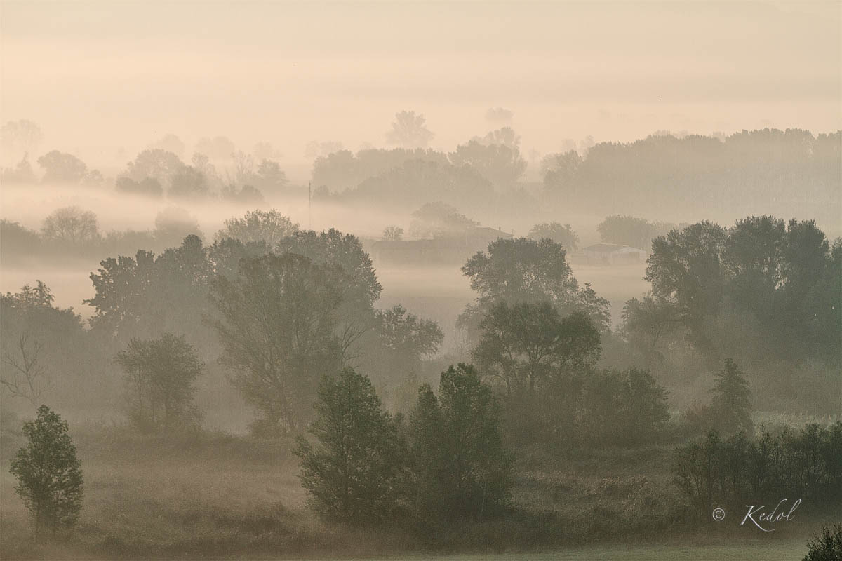 Fog in the Roman countryside