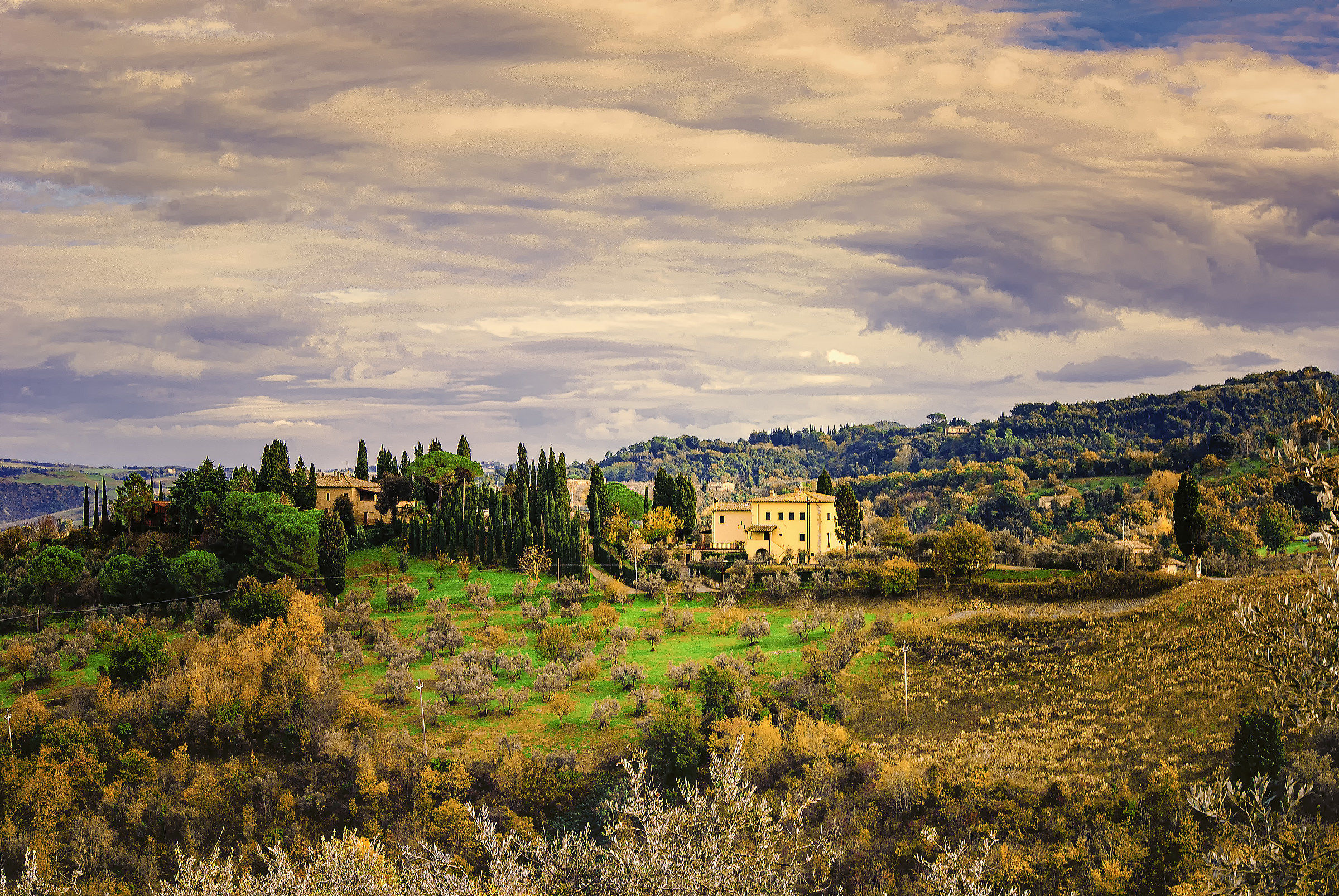 Landscapes of my house