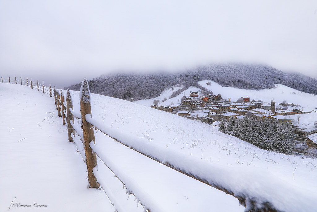 Auguri di buone feste