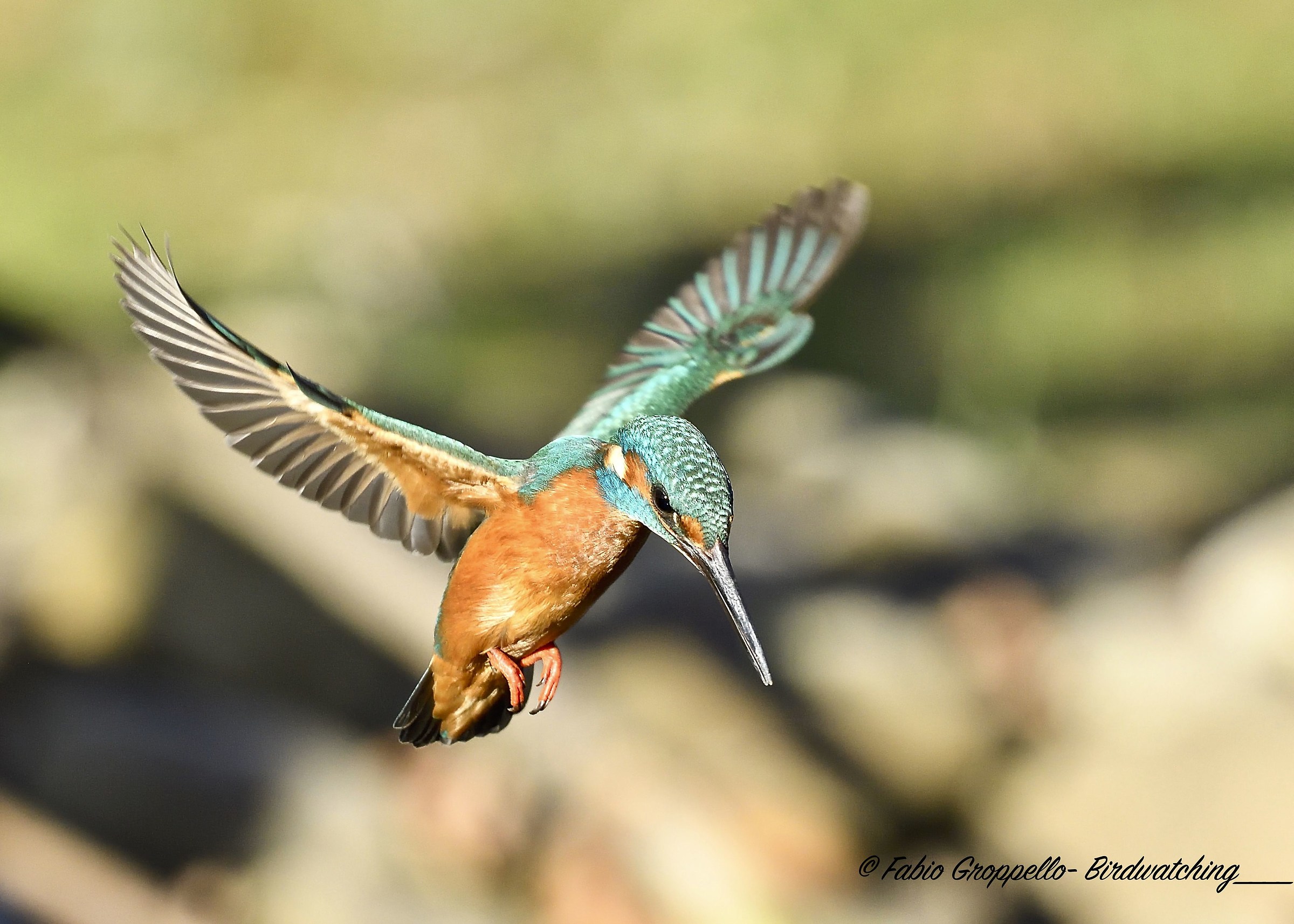 Martino in volo "spirito santo"