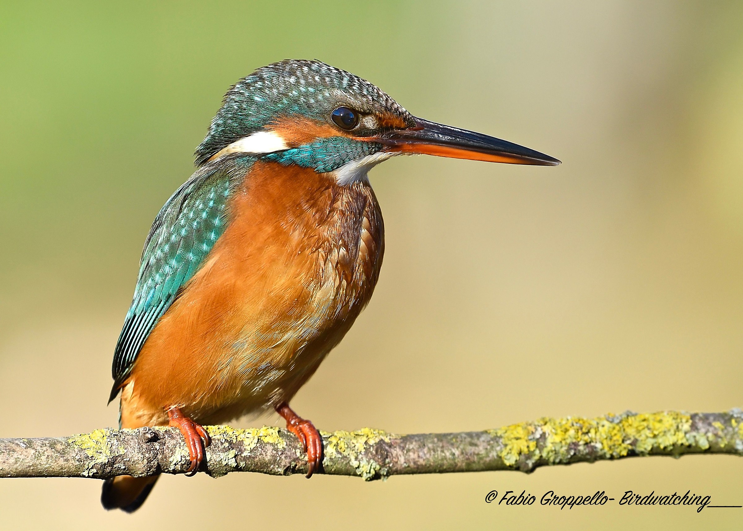 Martina in primo piano