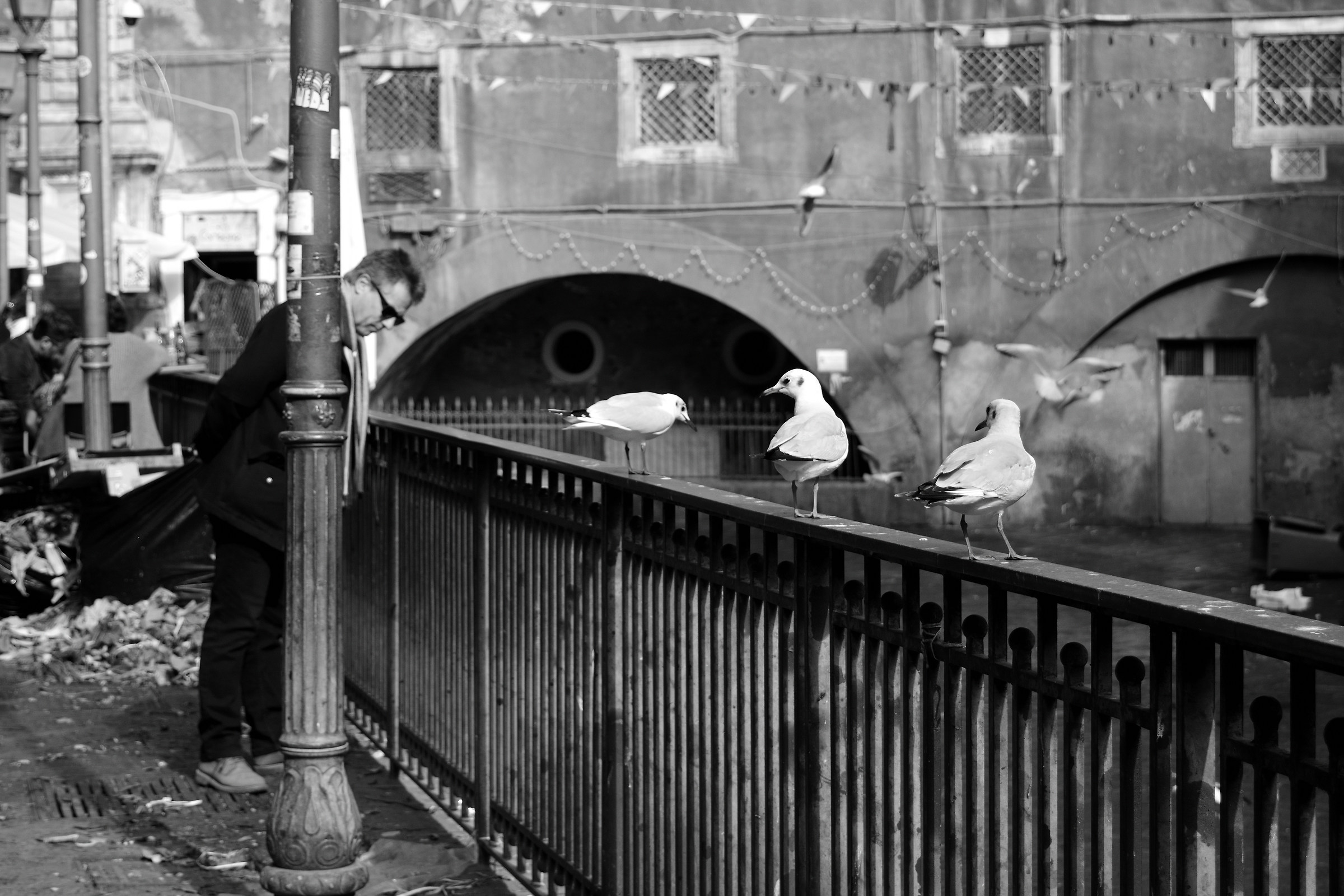 Catania, Fish Market