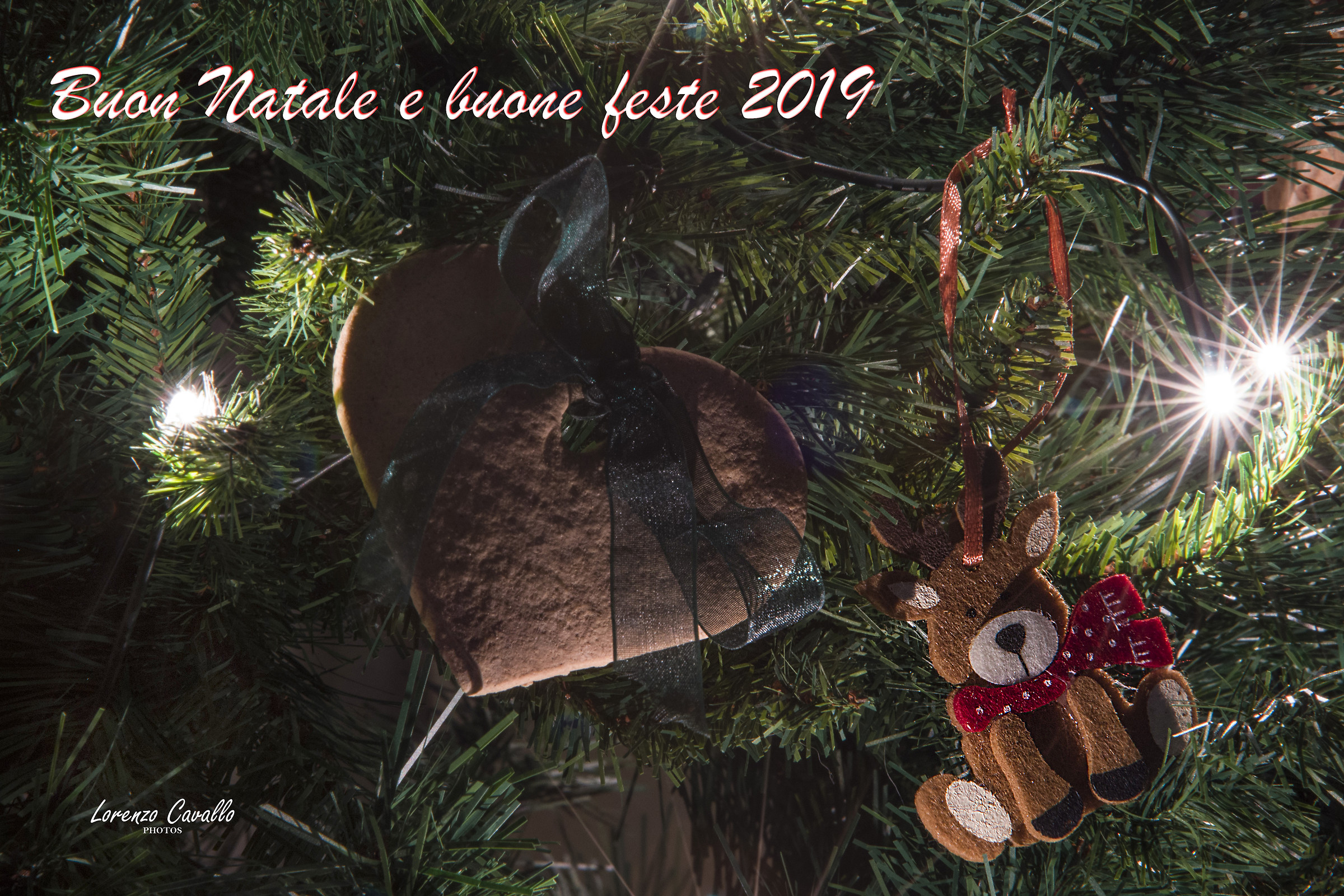 Happy Holidays and Merry Christmas!!!