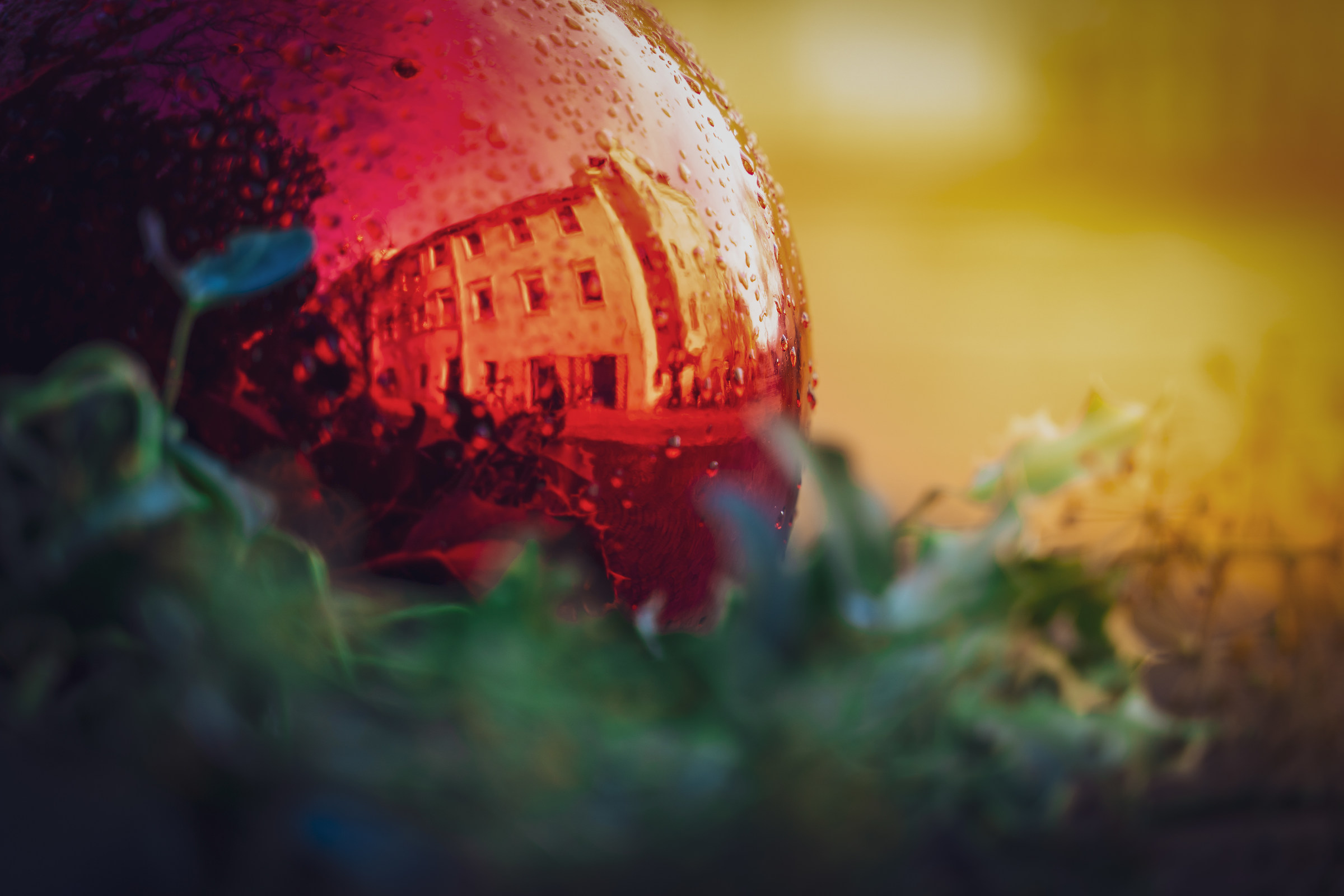 San Giorgio del Sannio - La Magia del Natale