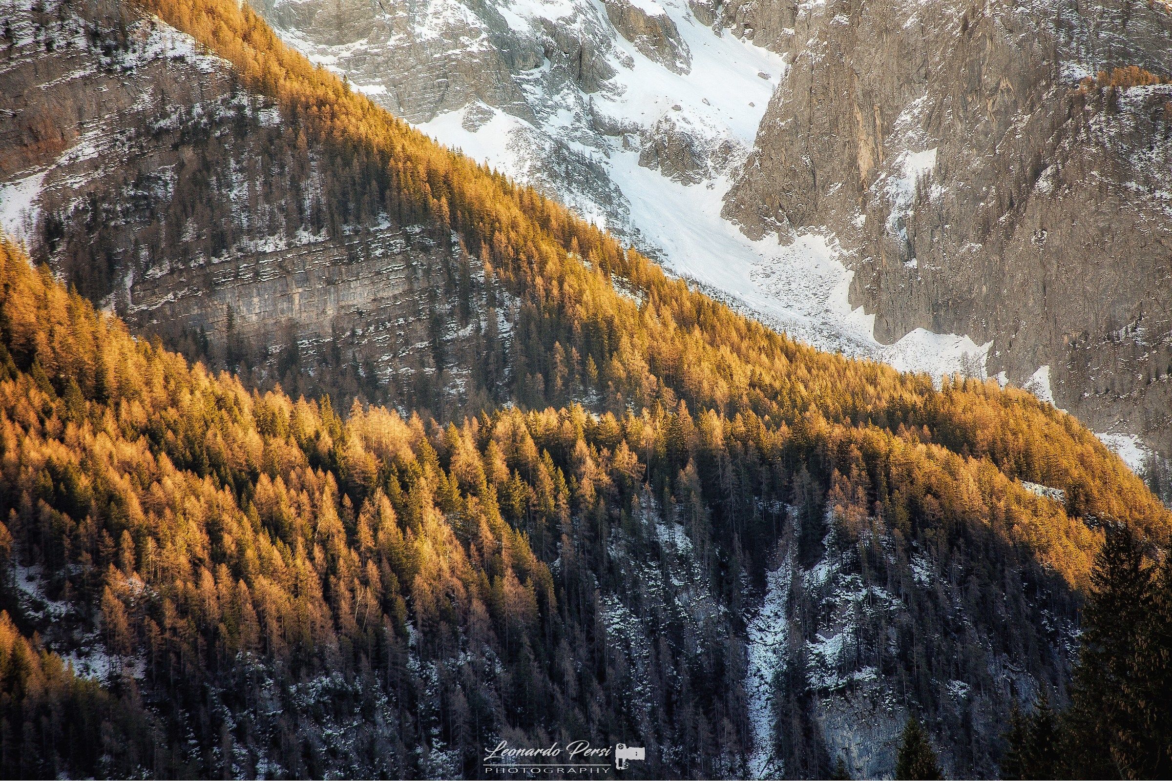 Seasonal contrasts...