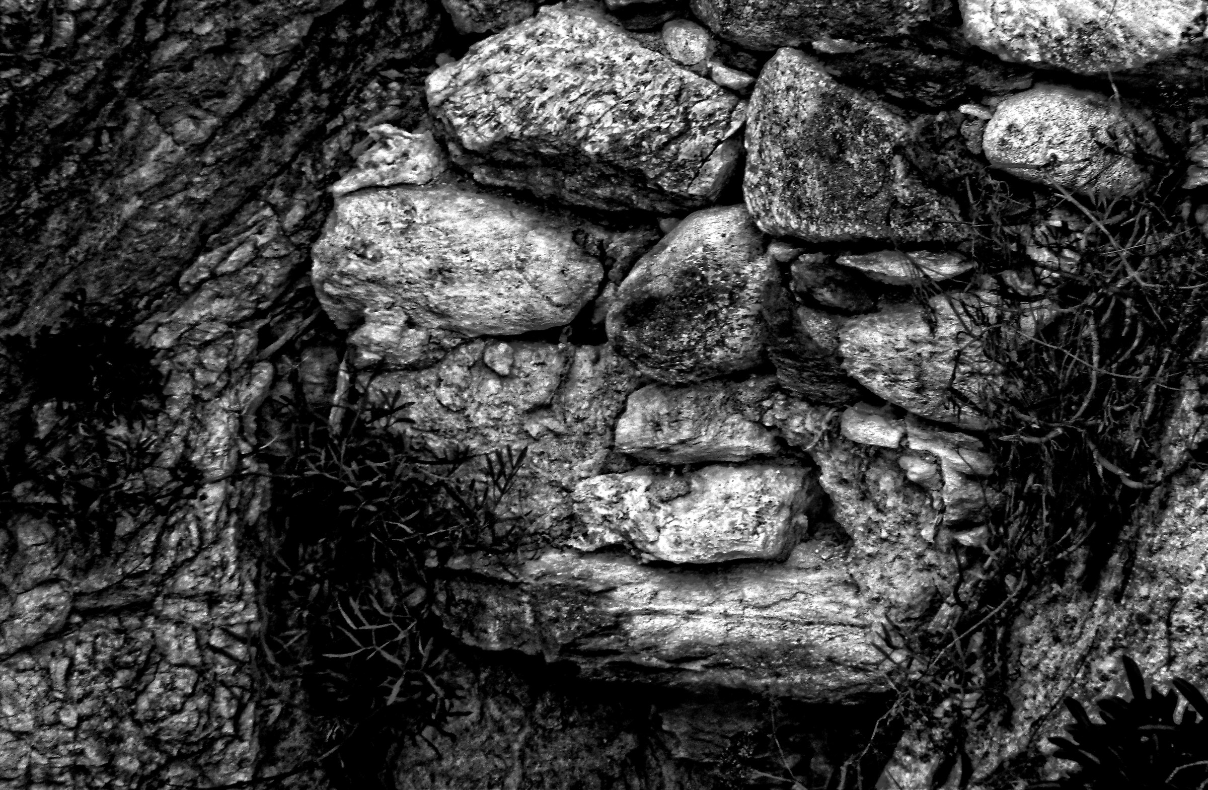 I see, you see, he sees...