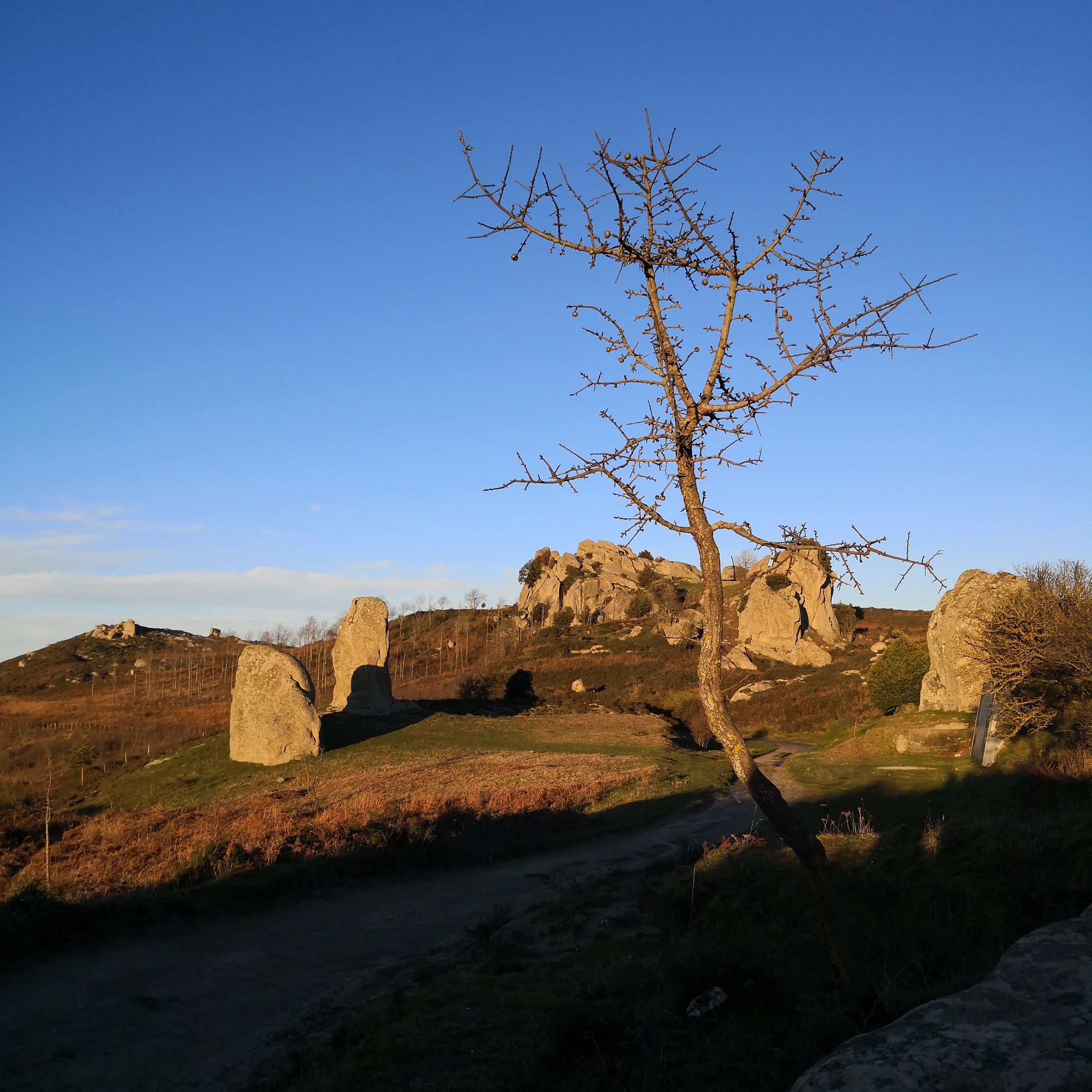 Megaliti di Argimusco