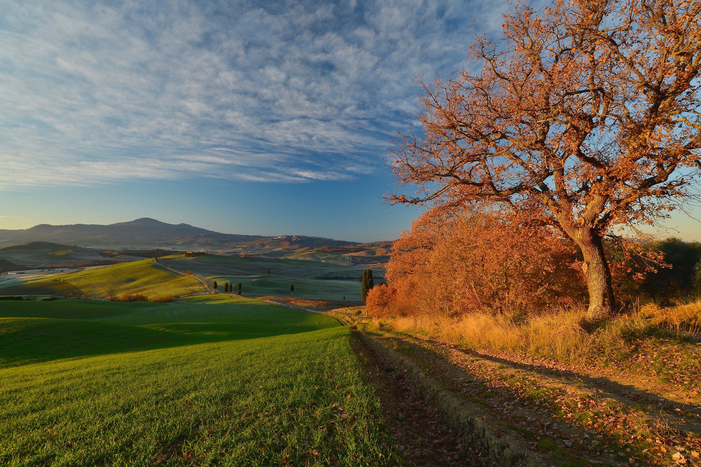 Autunno in Val d'Orcia