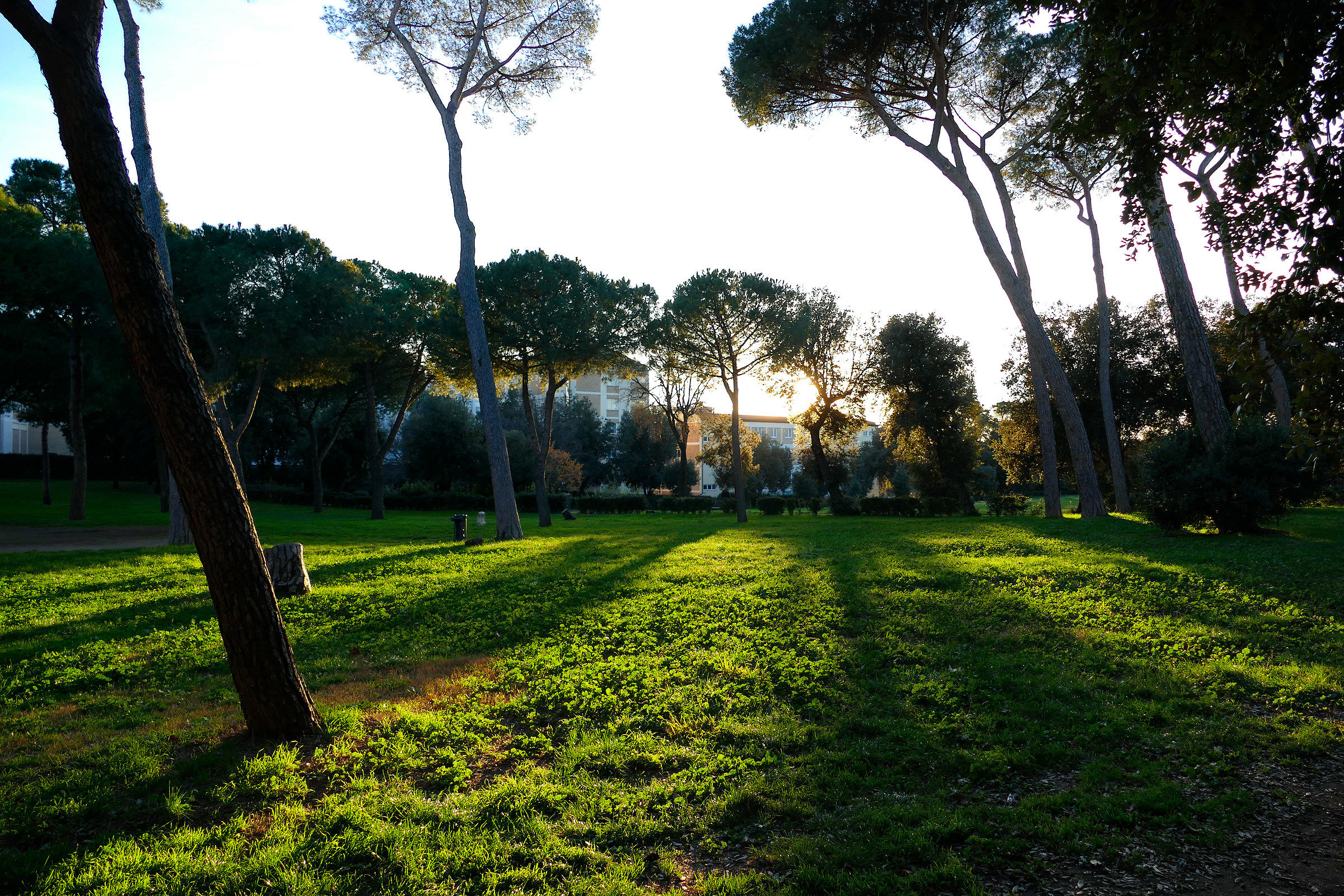 Villa Carpegna - Roma