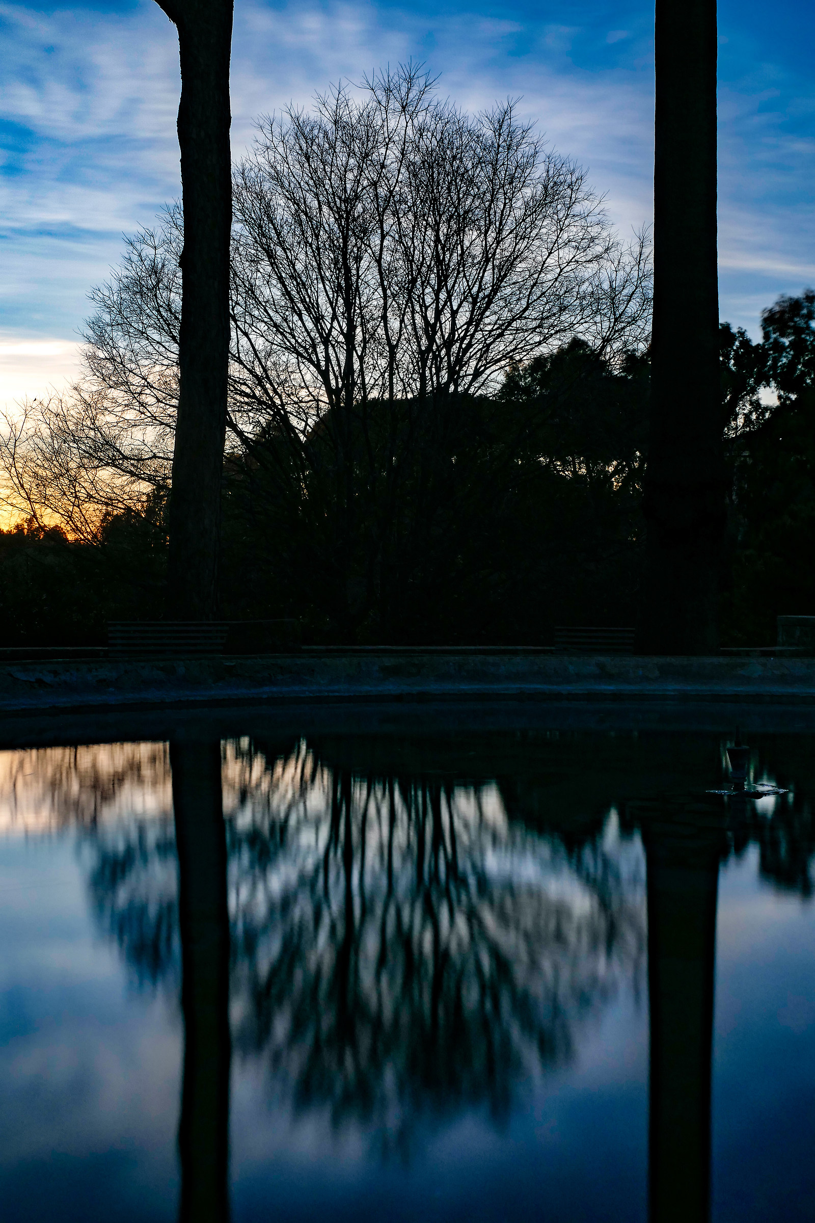 Specchio delle mie brame