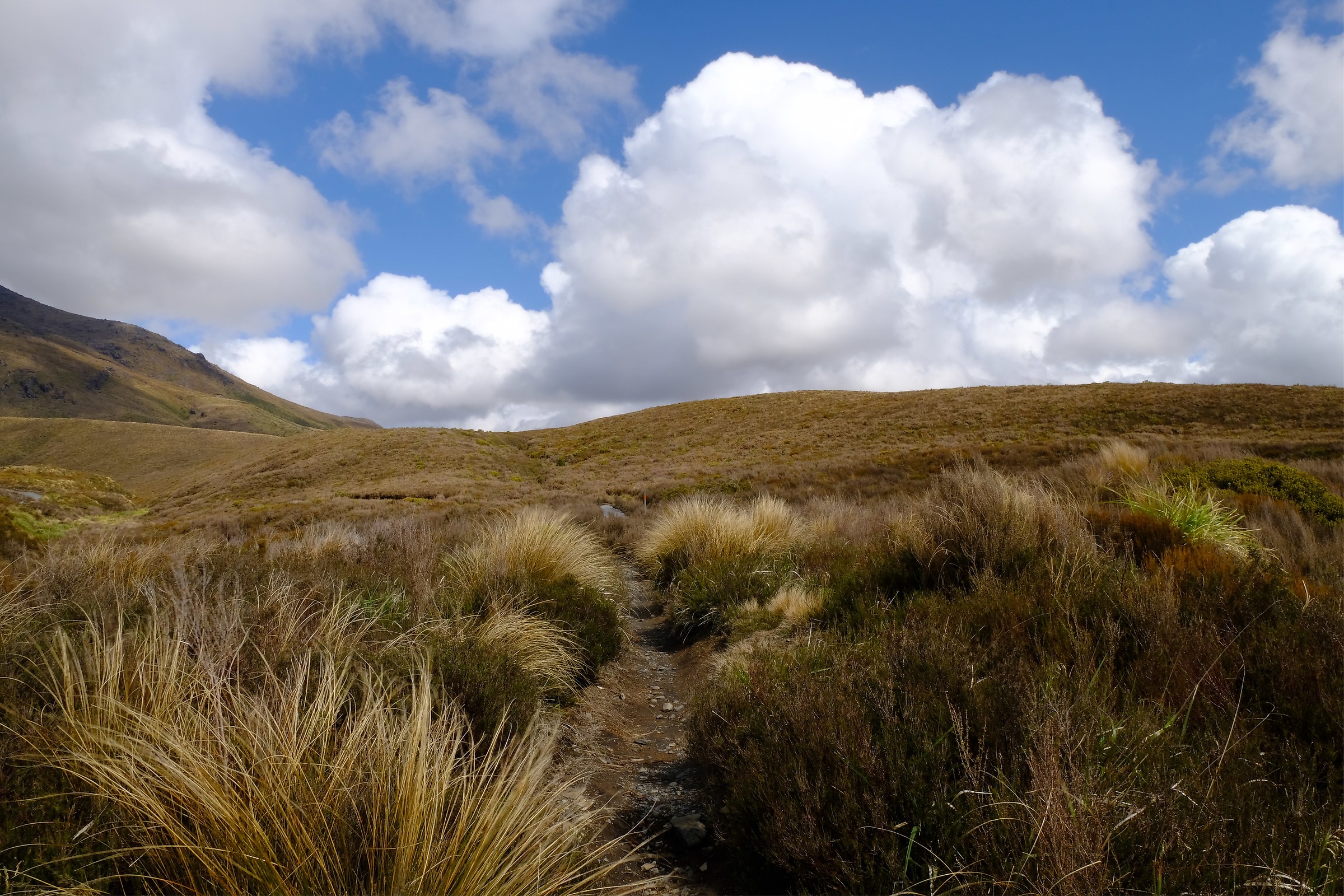 Tongariro National Park
