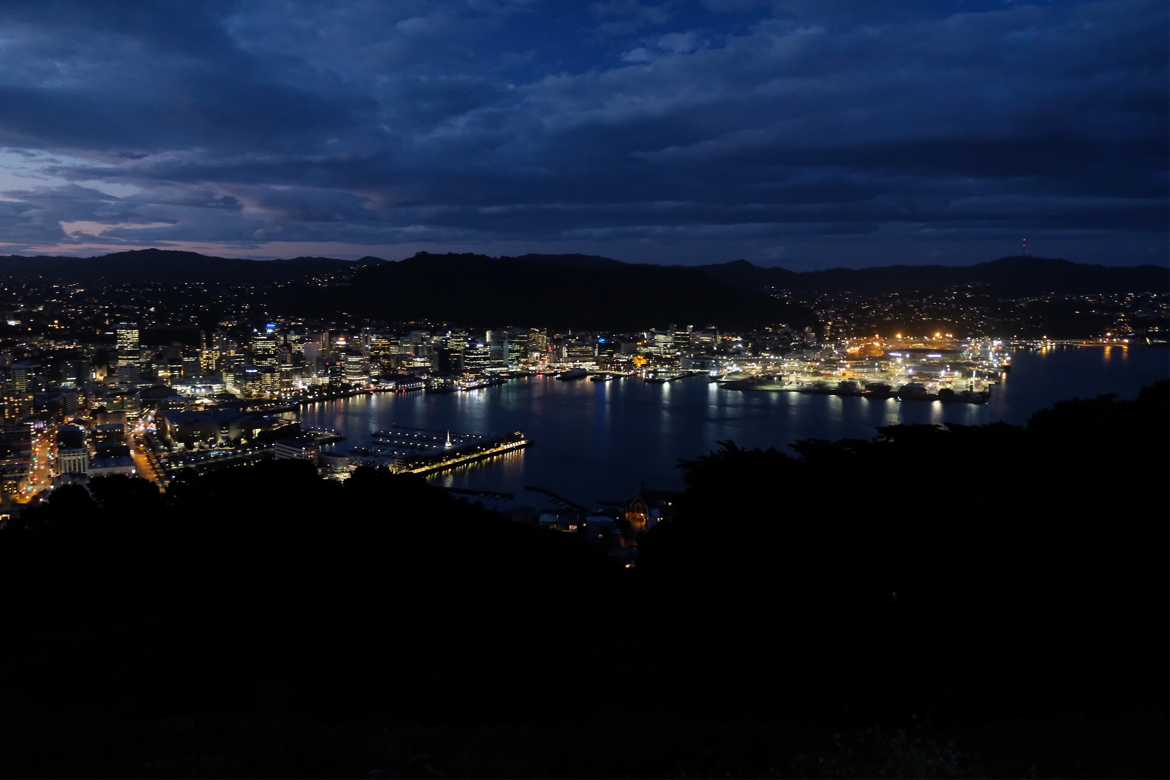 Wellington by night