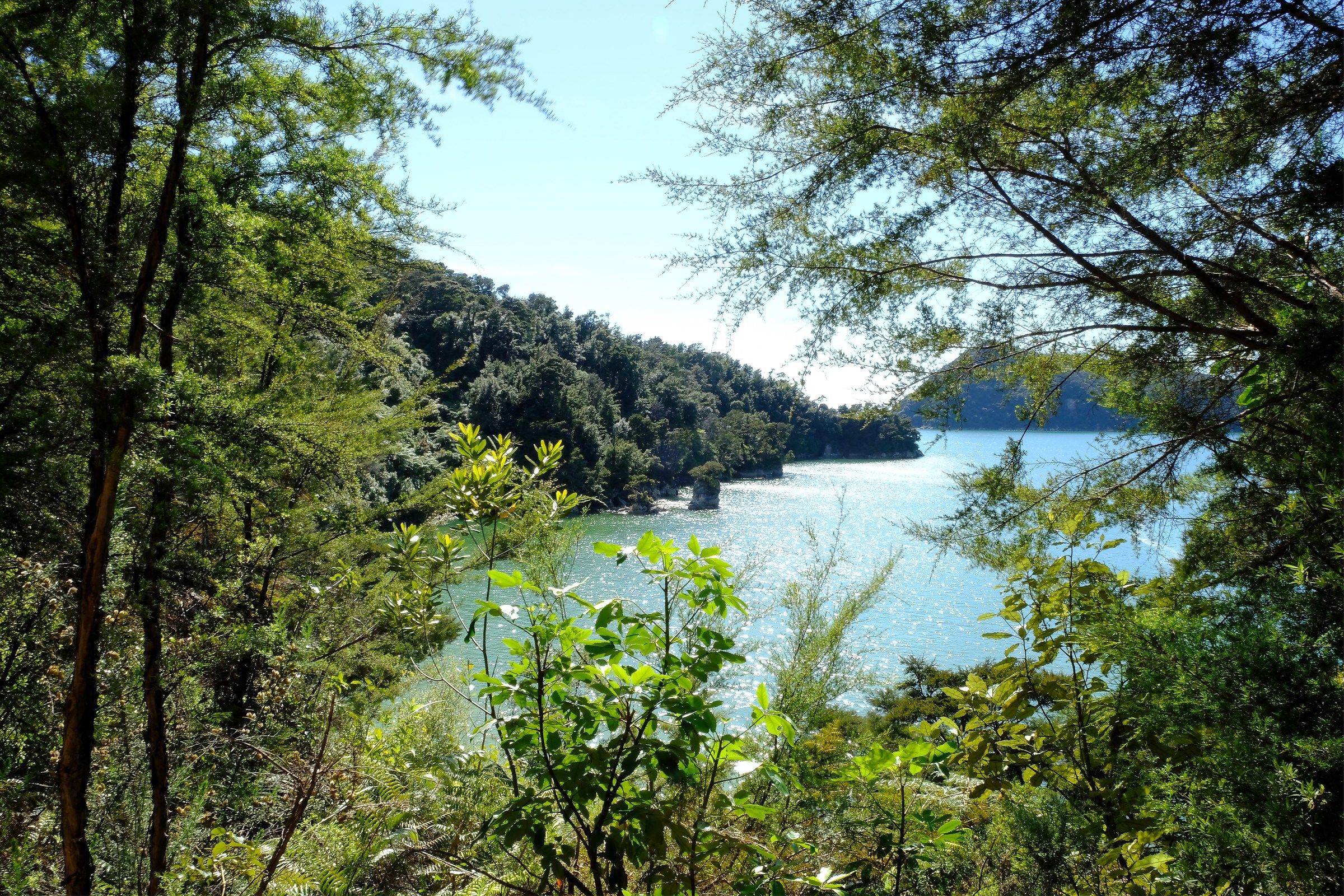 Abel Tasman view