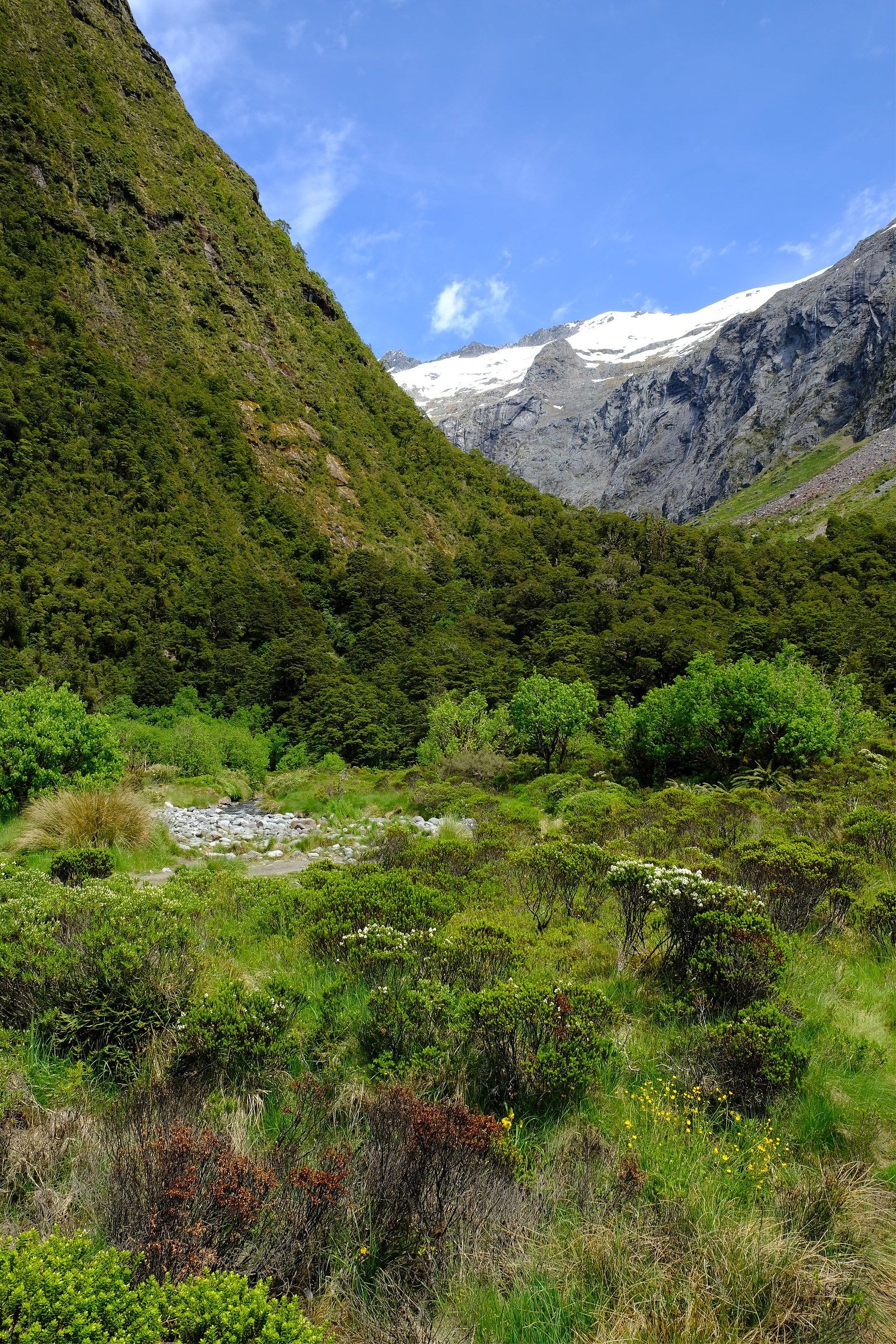 Road to Milford Sound 2
