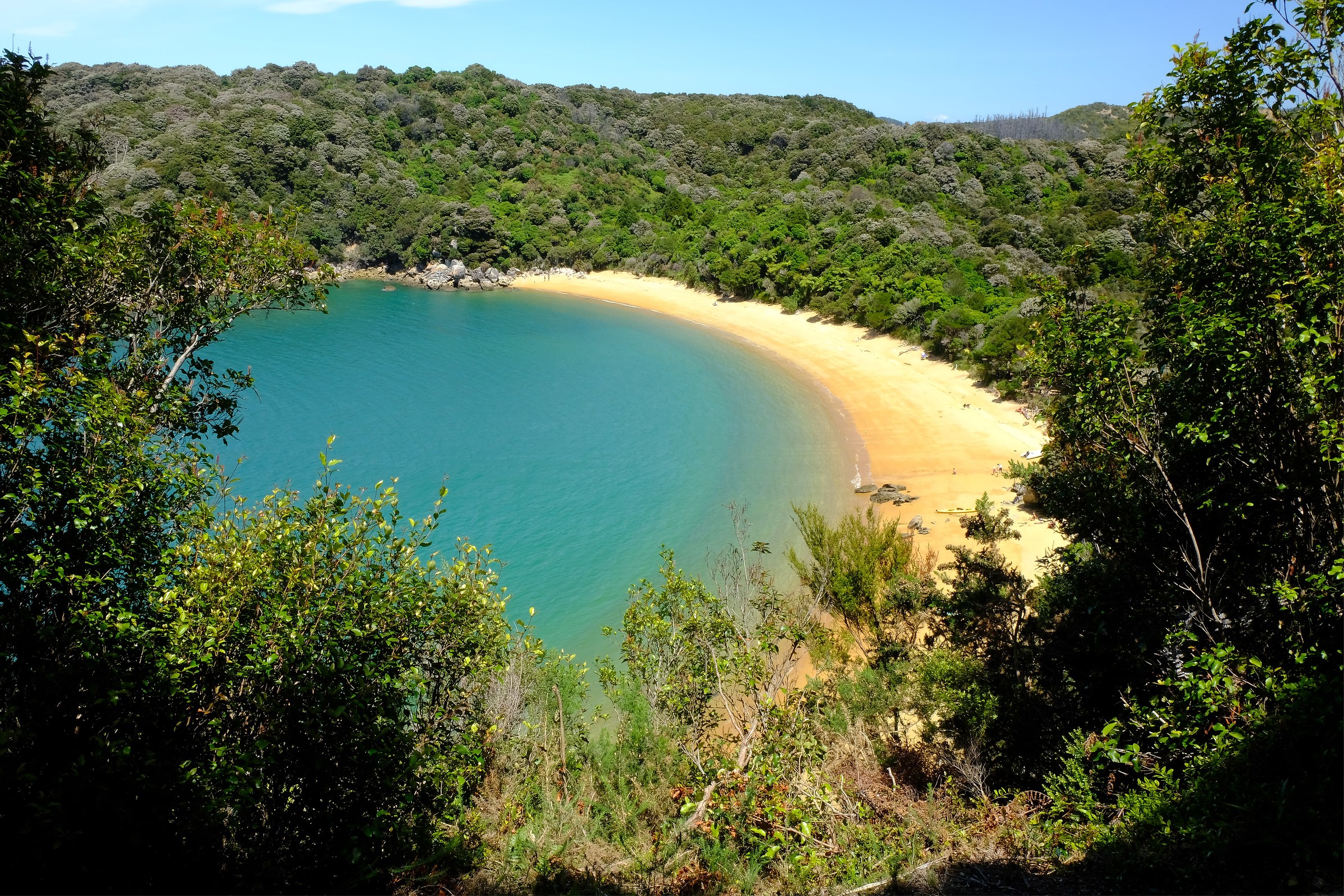 Abel Tasman Beach
