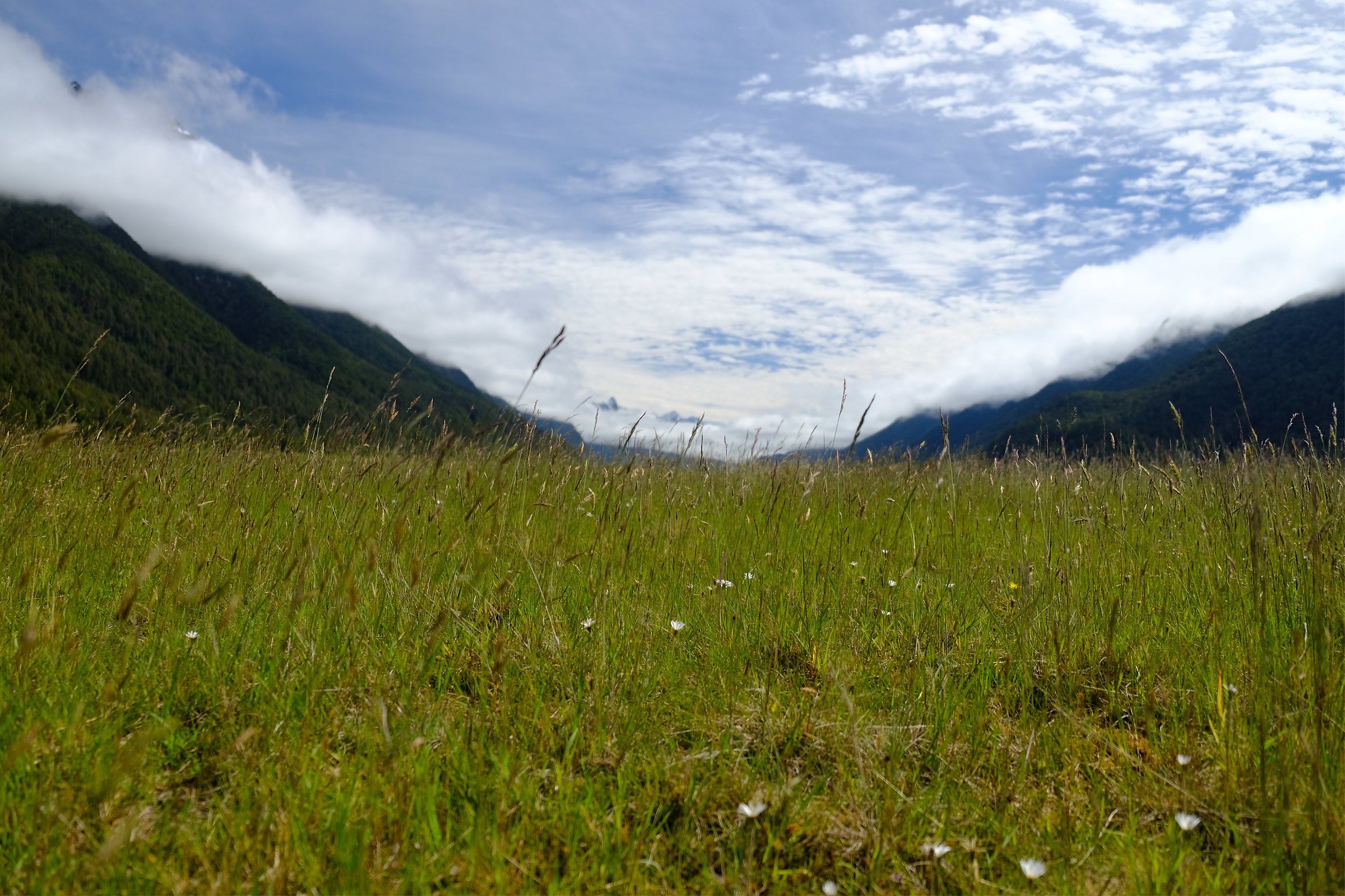 Road to Milford Sound 3