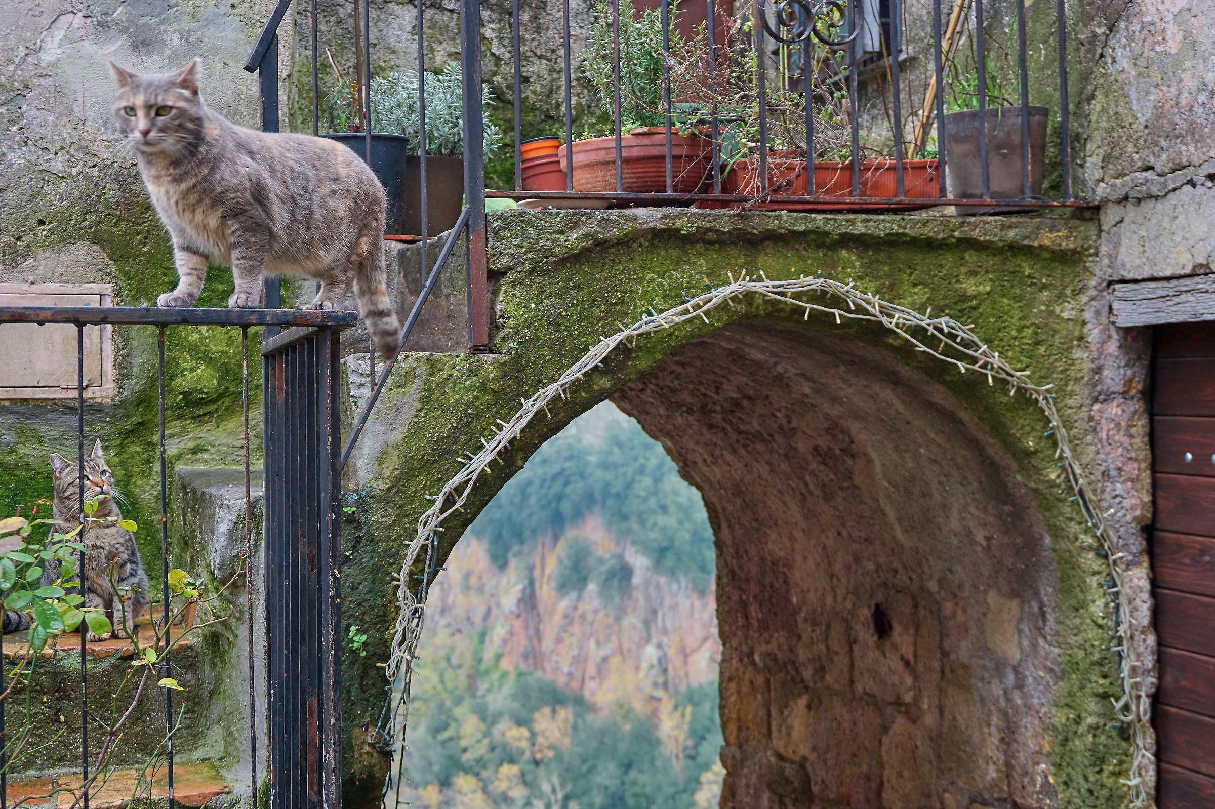 Glimpse of Calcata (VT)