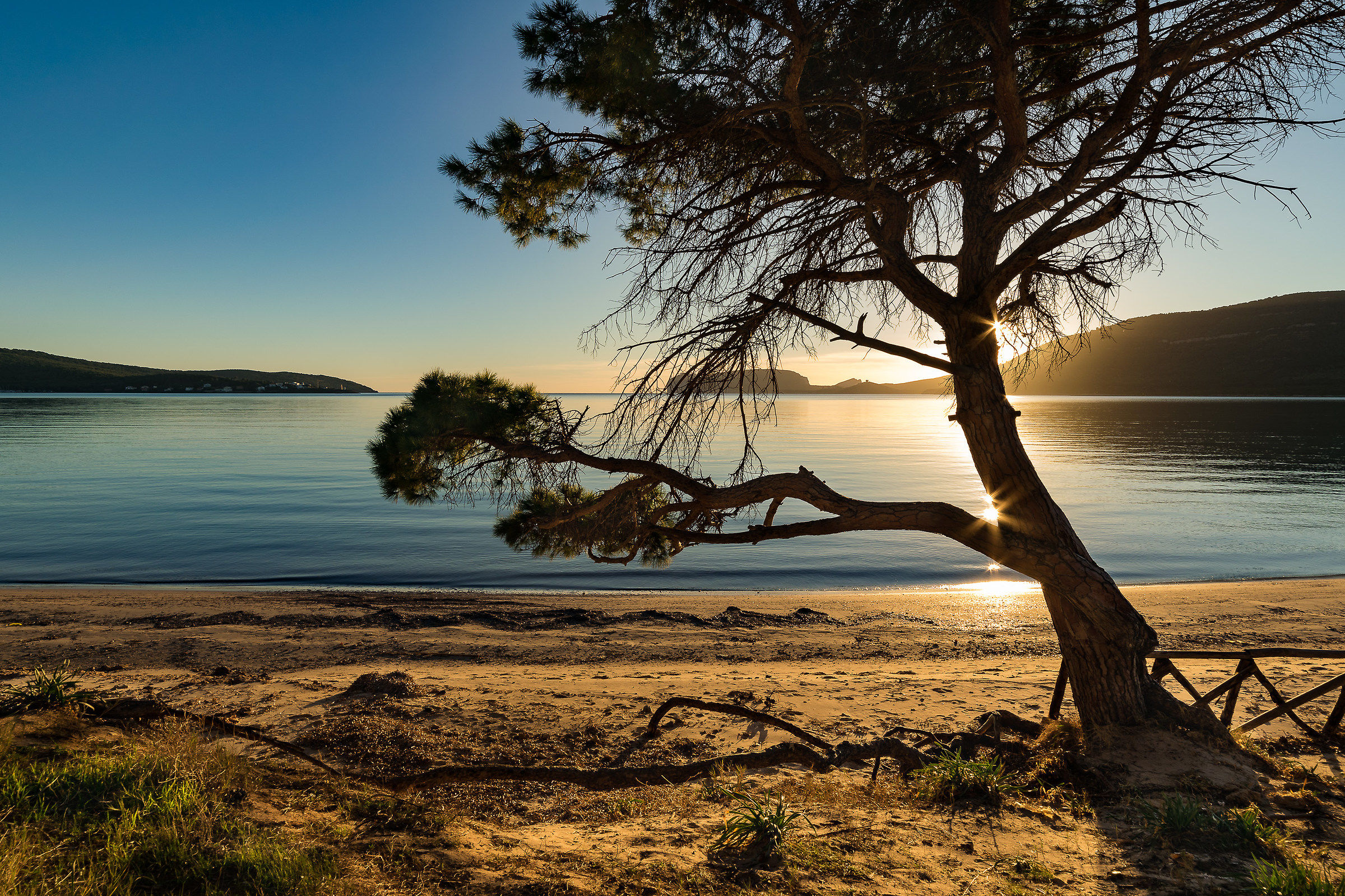 Al centro della baia
