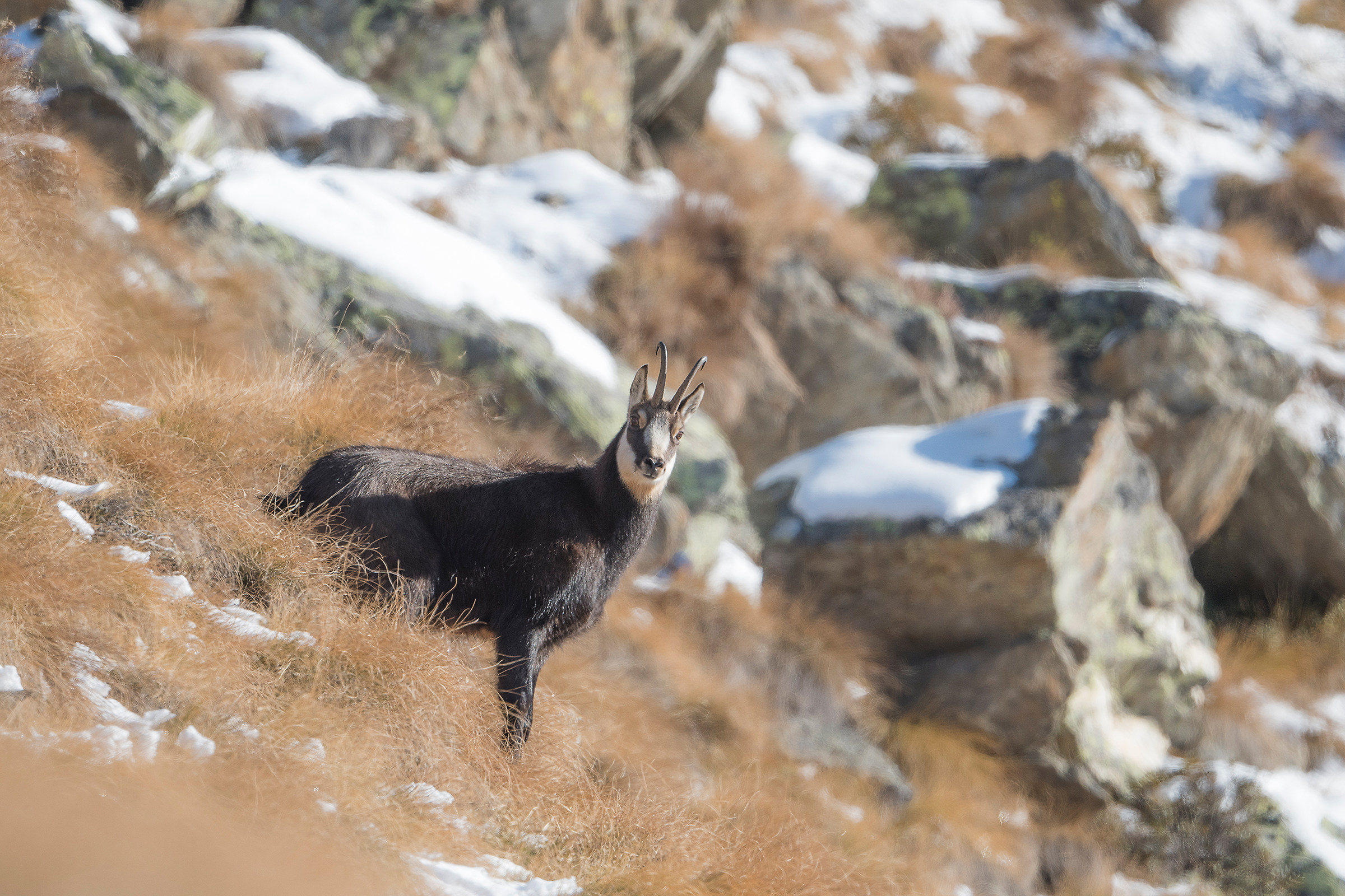 Always a nice meeting..