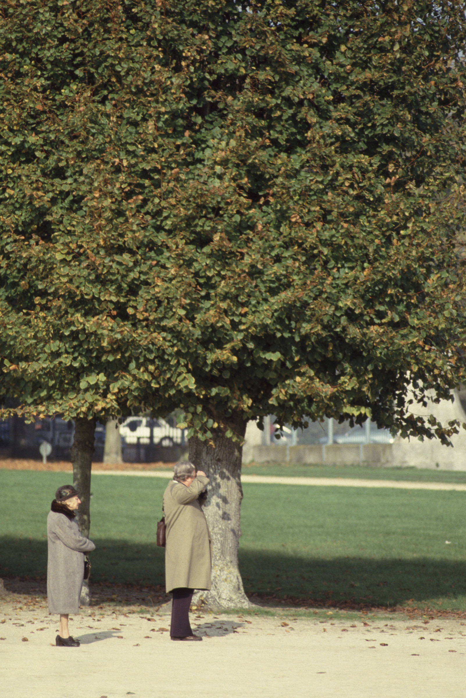 Aspetta, faccio una foto