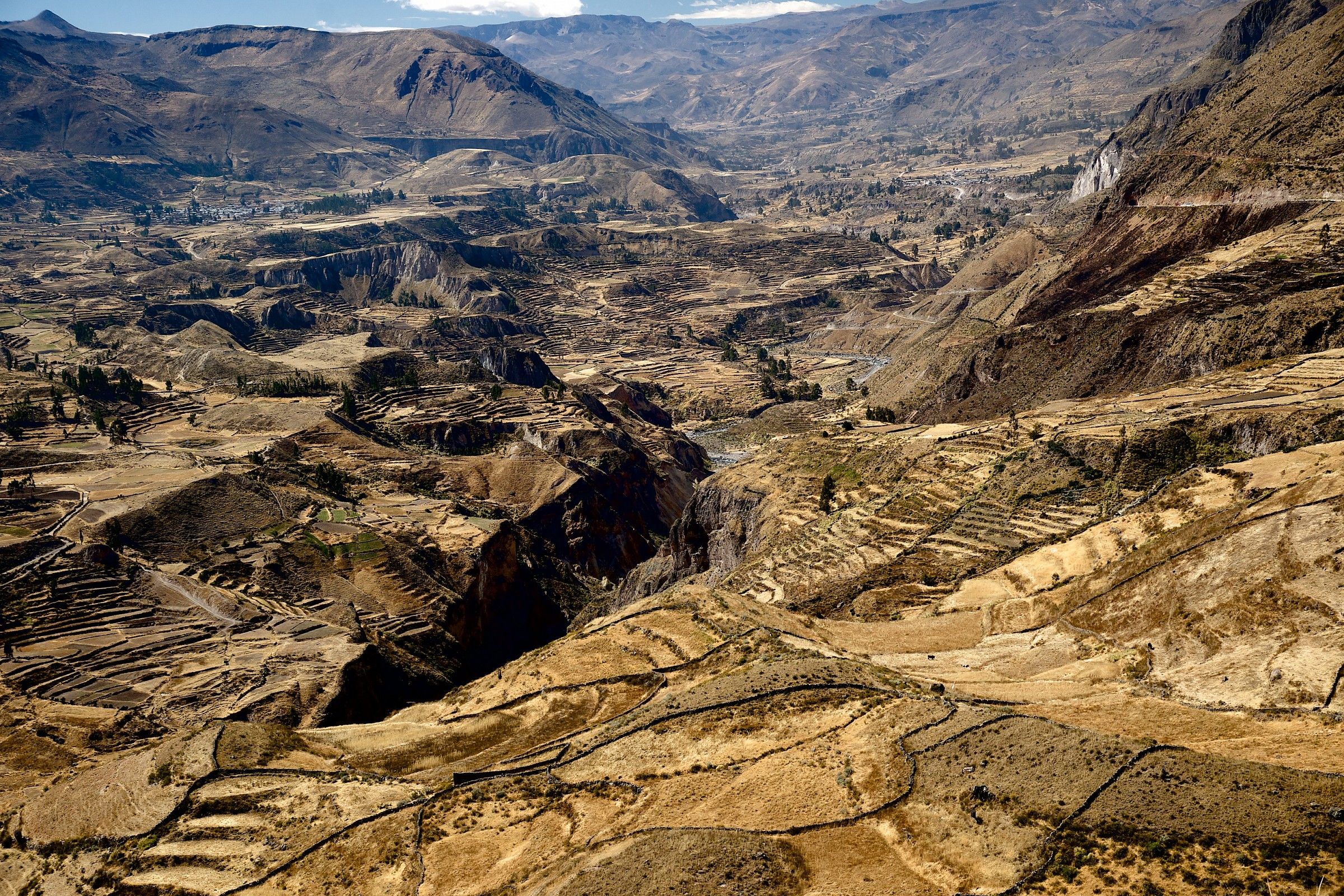 Canyon del Colca