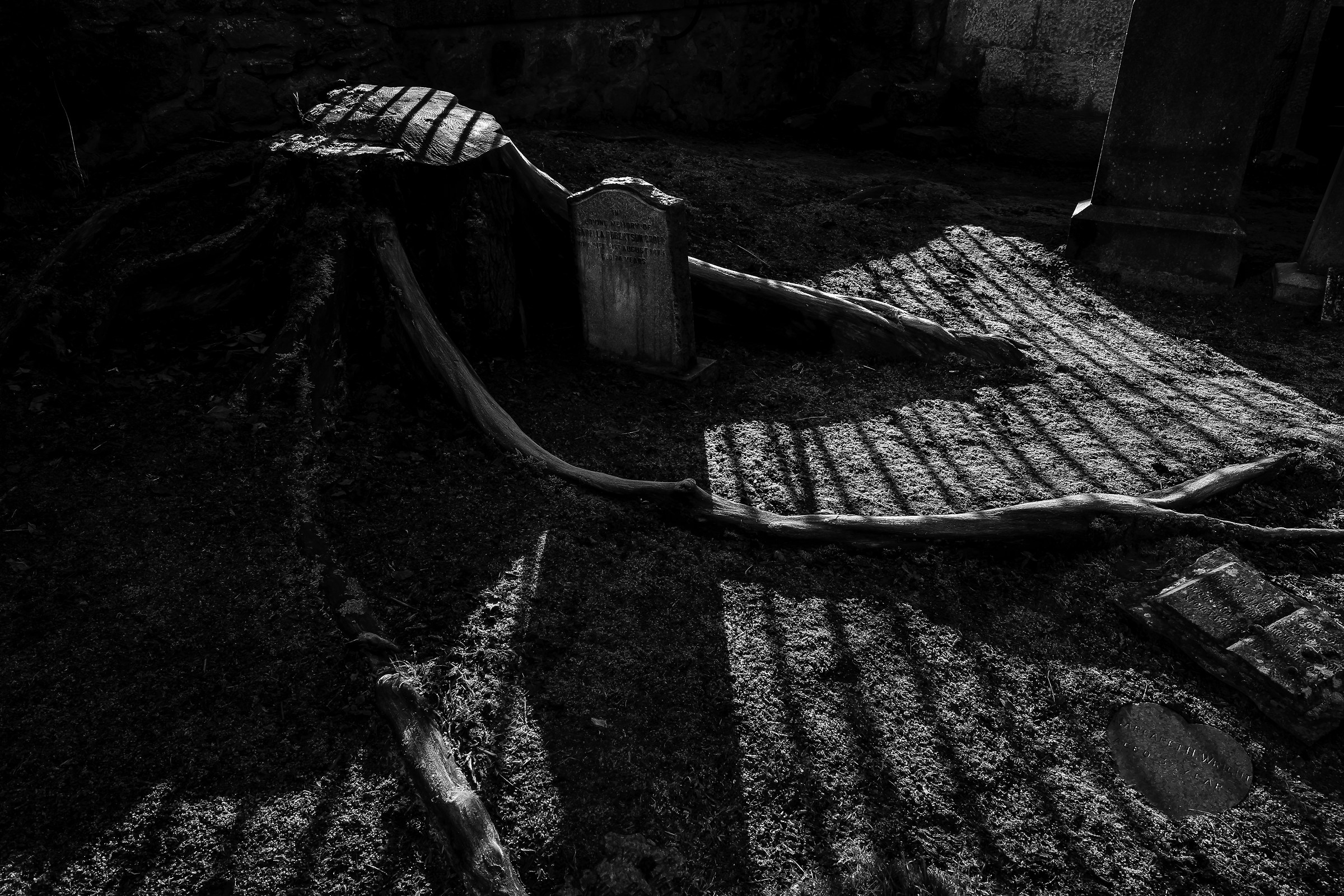 Wooden Graveyard Black & White