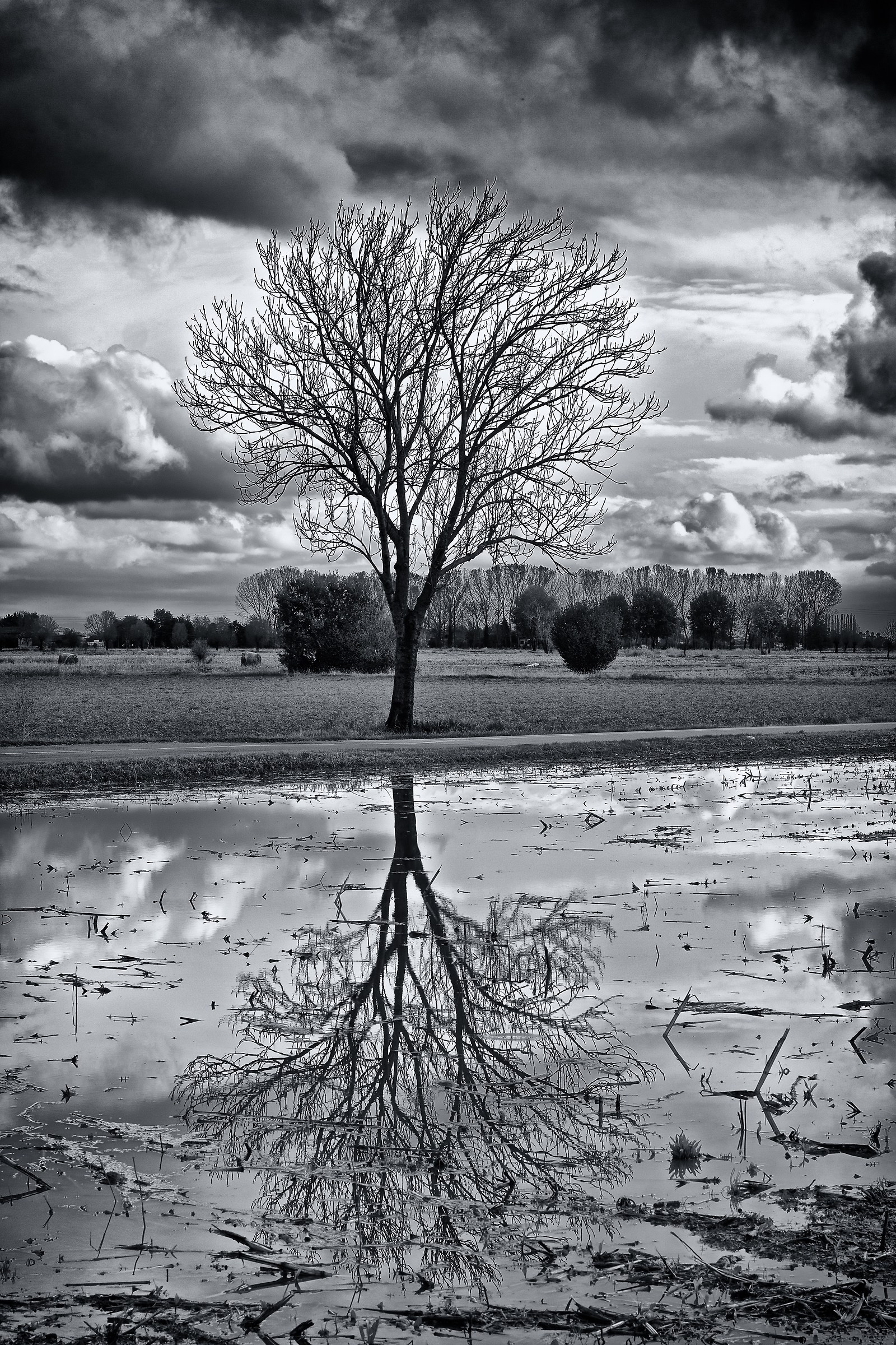 quiete prima della pioggia