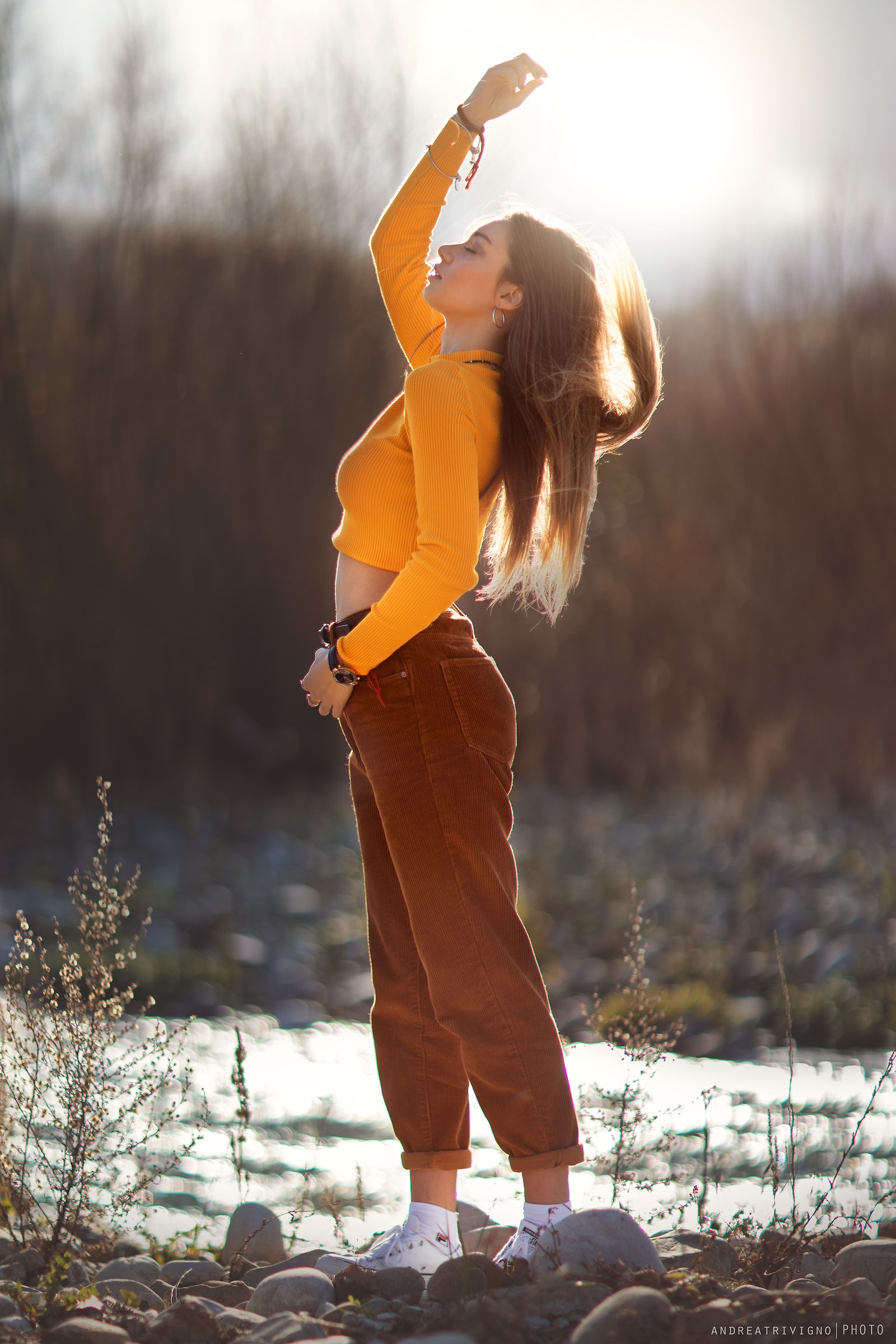 Aurora-Equilibrium 6