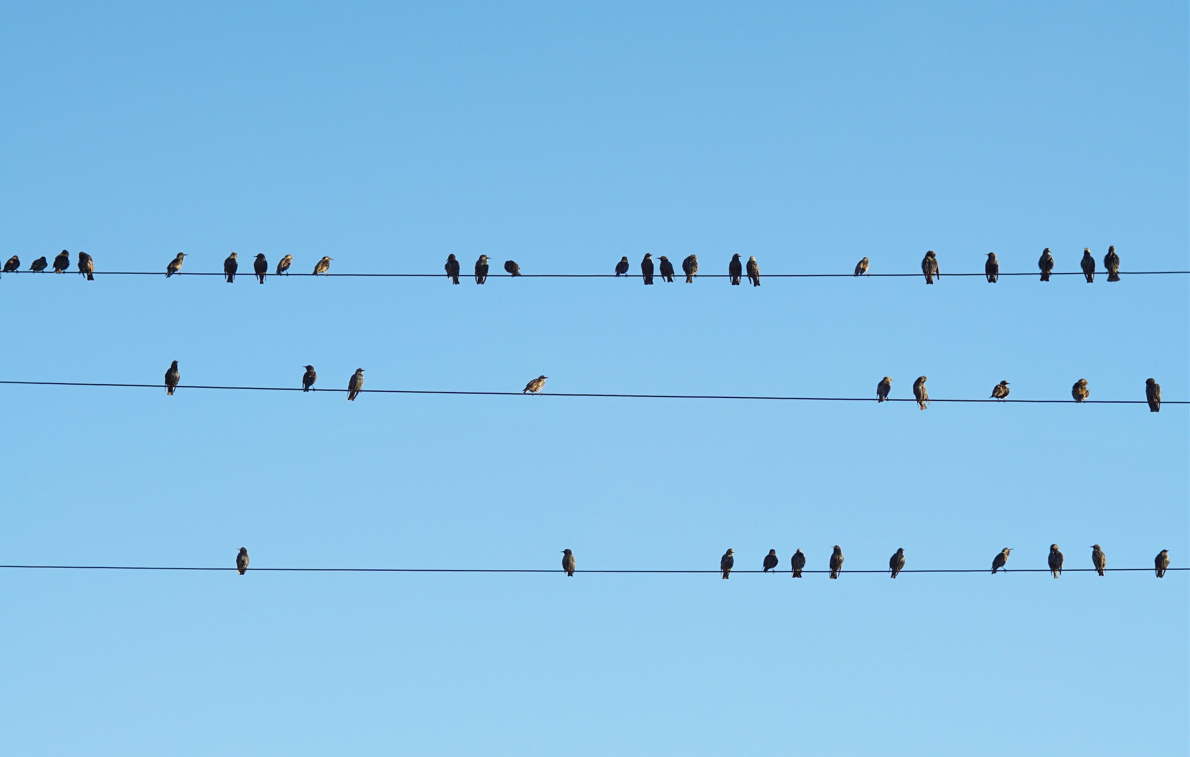 Waiting for the evening