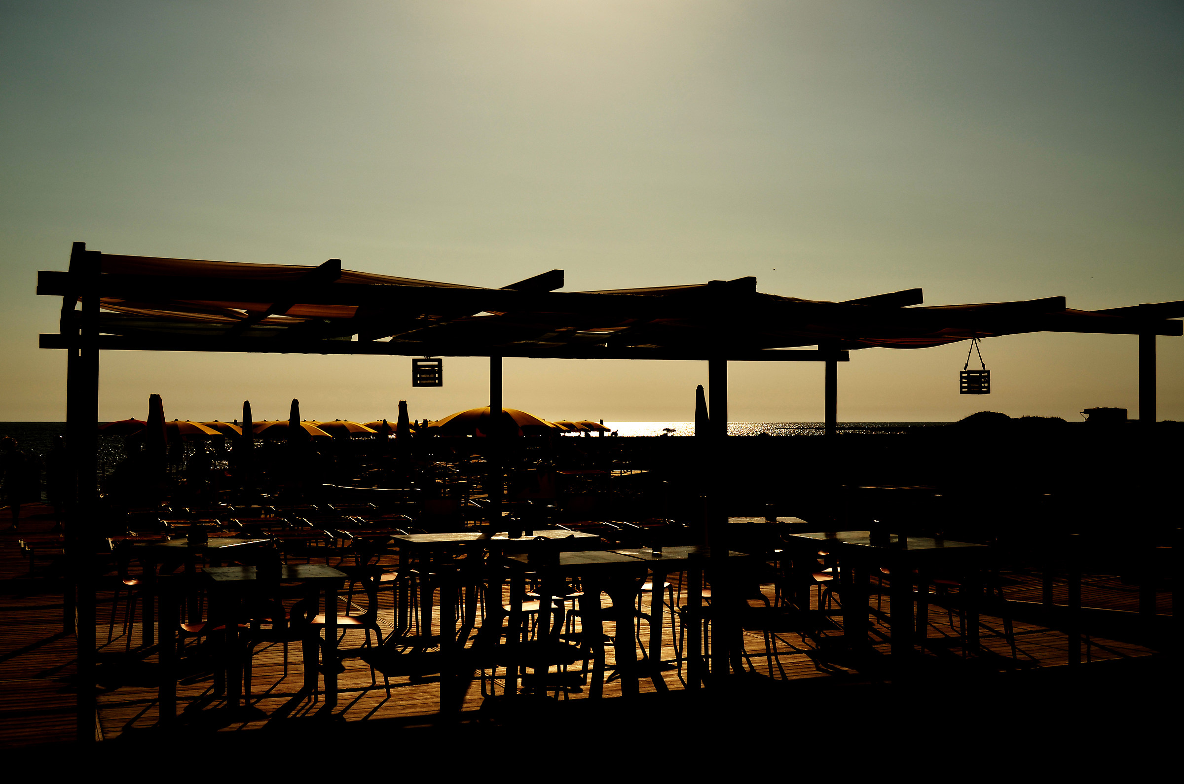 Wild Harbor-Rendering 3