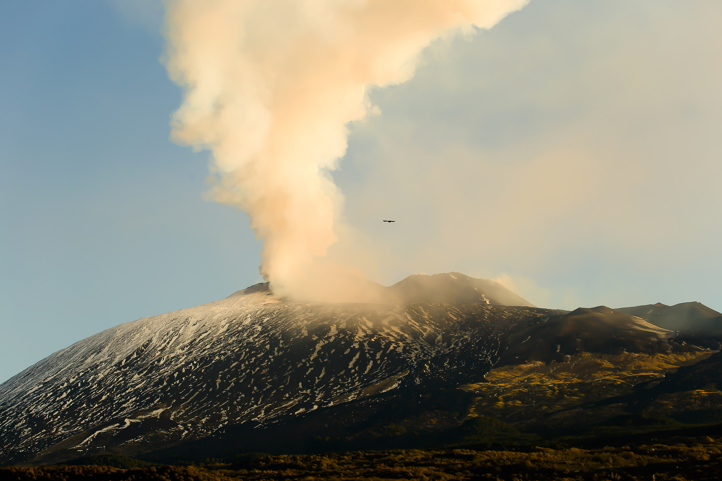 This morning she woke up like this