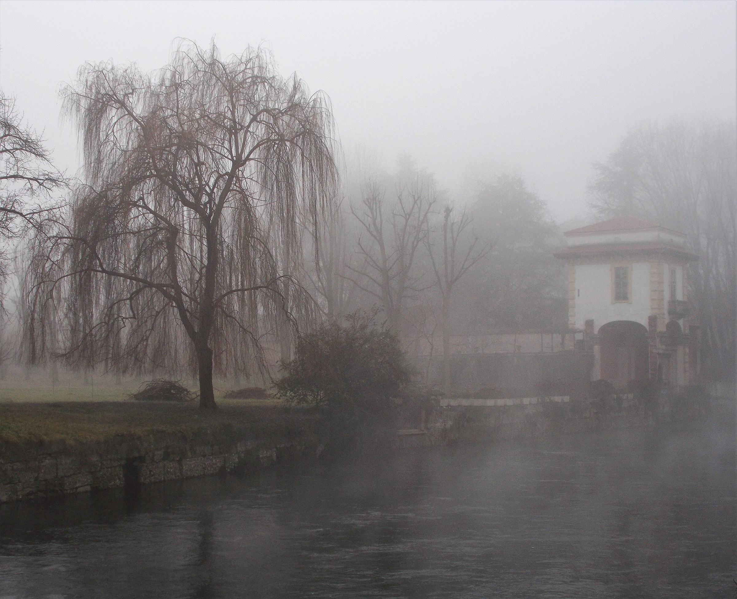 Fog on the Naviglio
