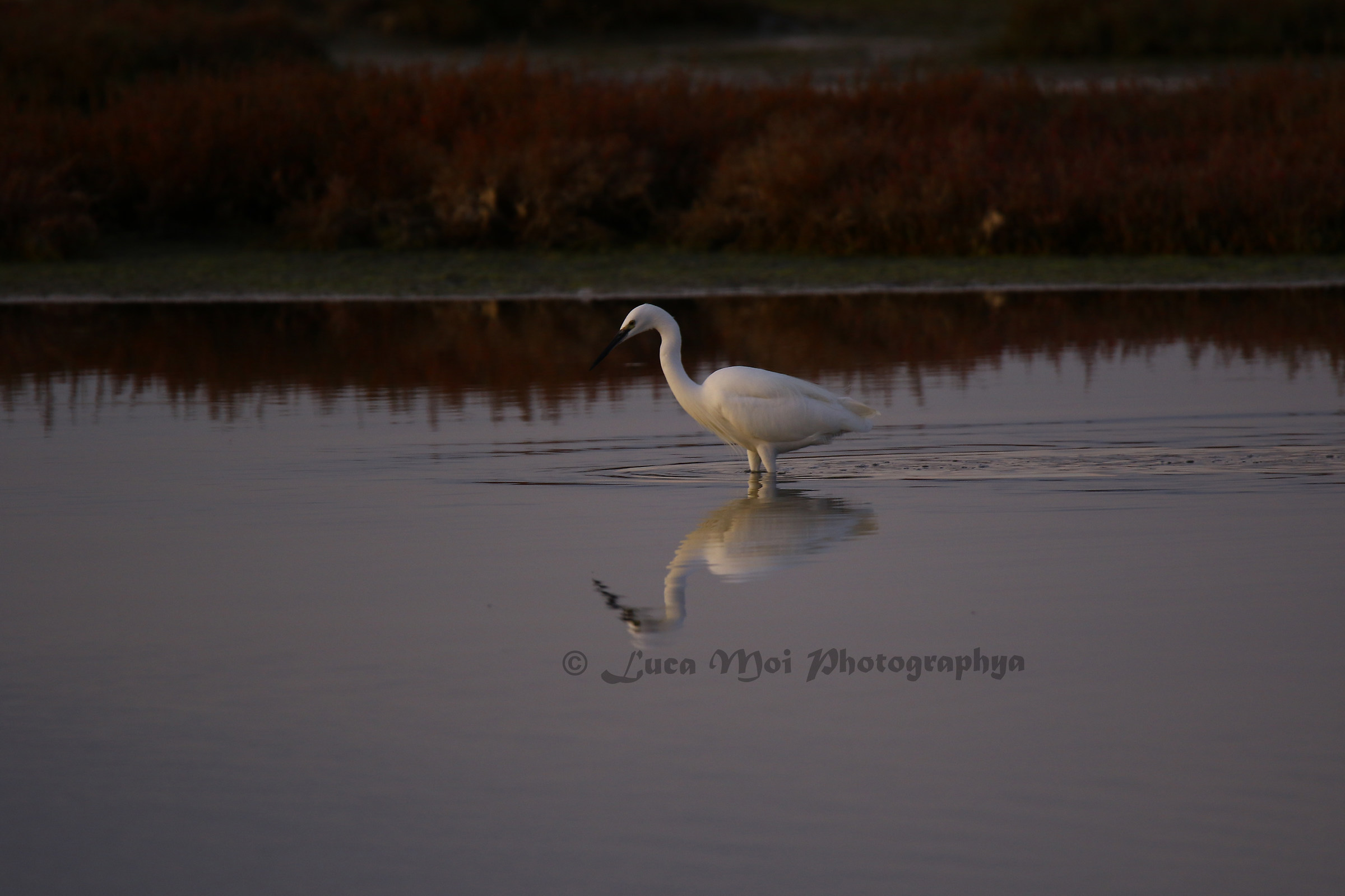 Pool Baiocca Sulcis Iglesiente Sardinia