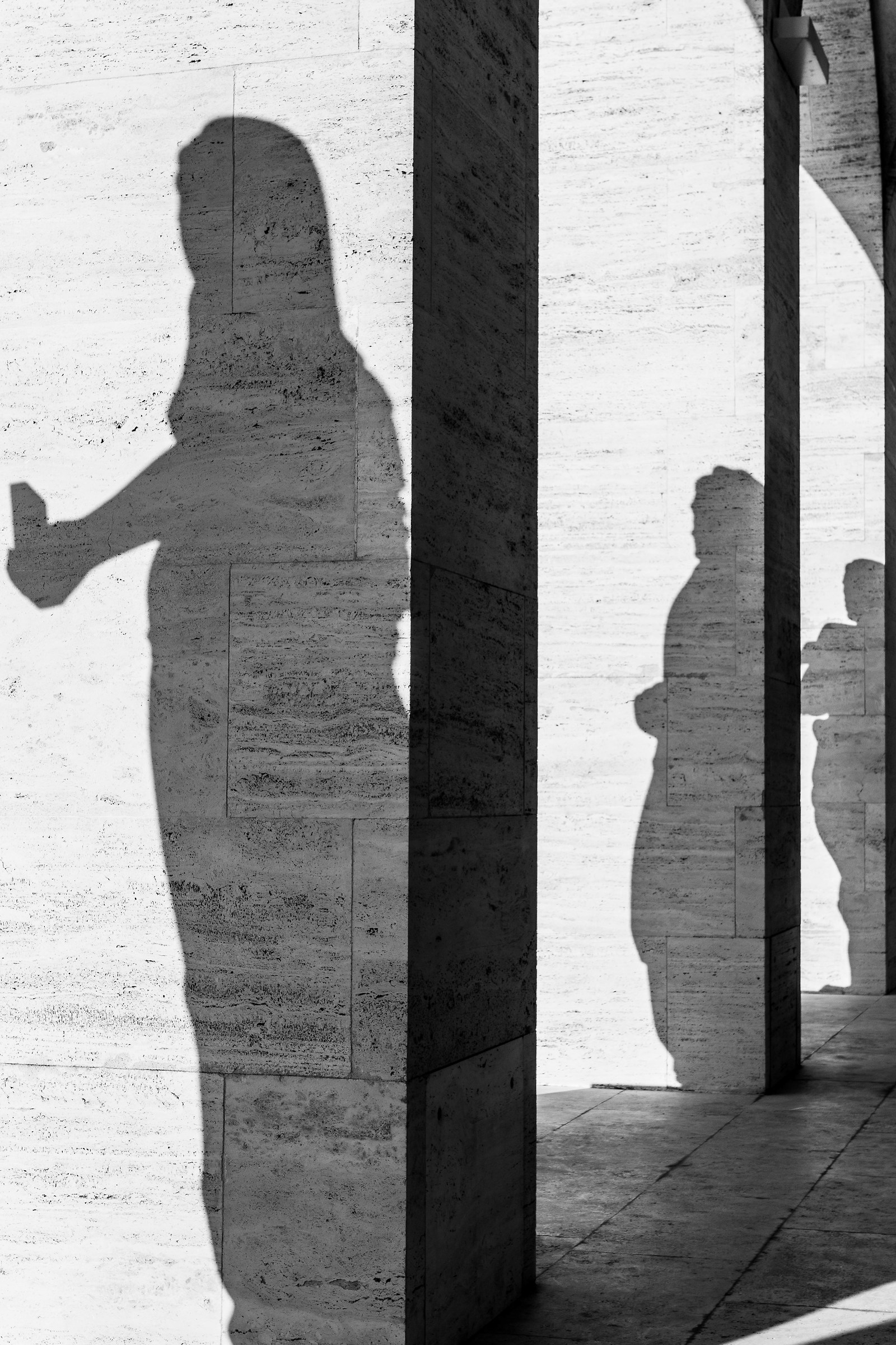 Shadows at Coliseum Square