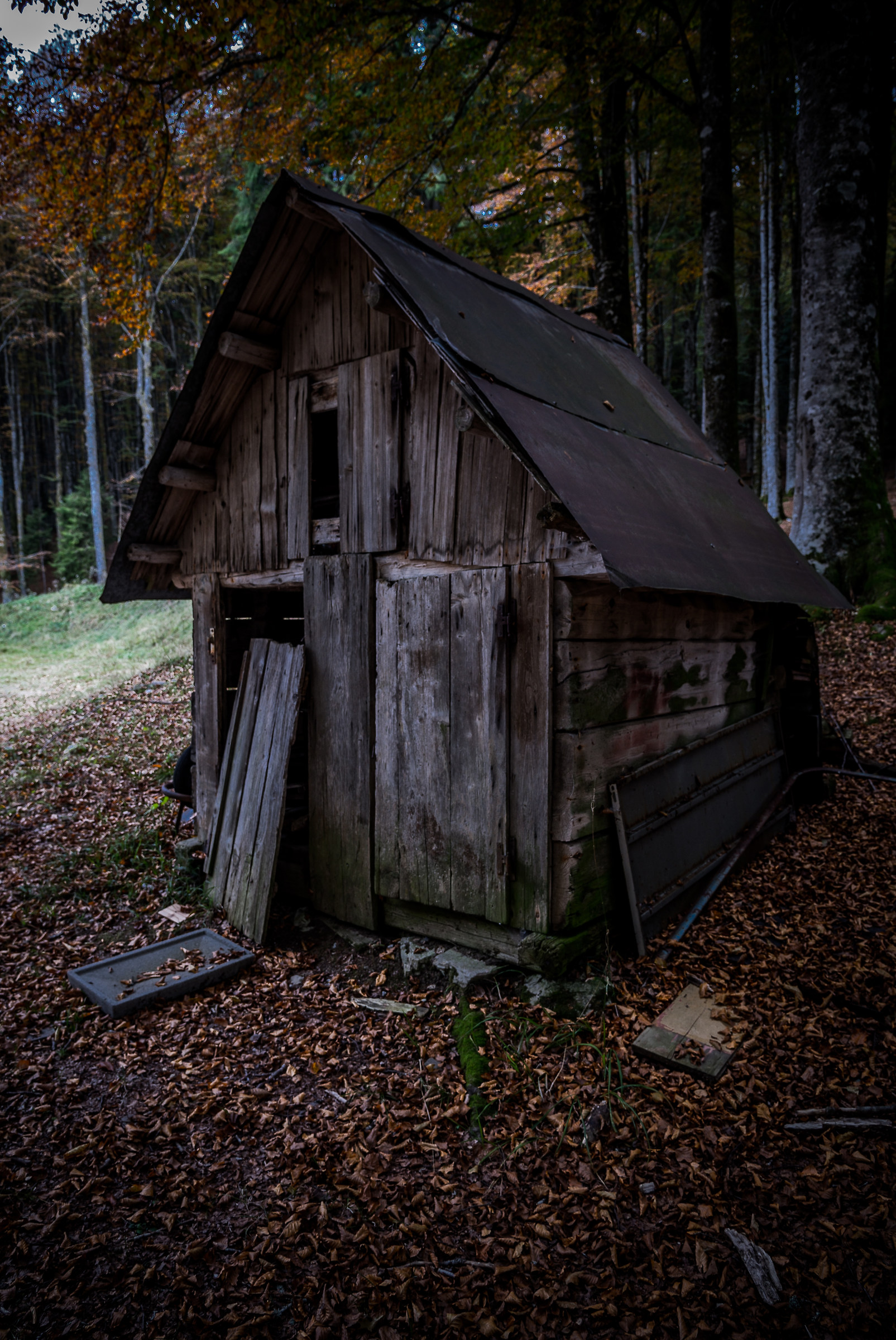 "A.A.A. Chalet in the wood for sale..."