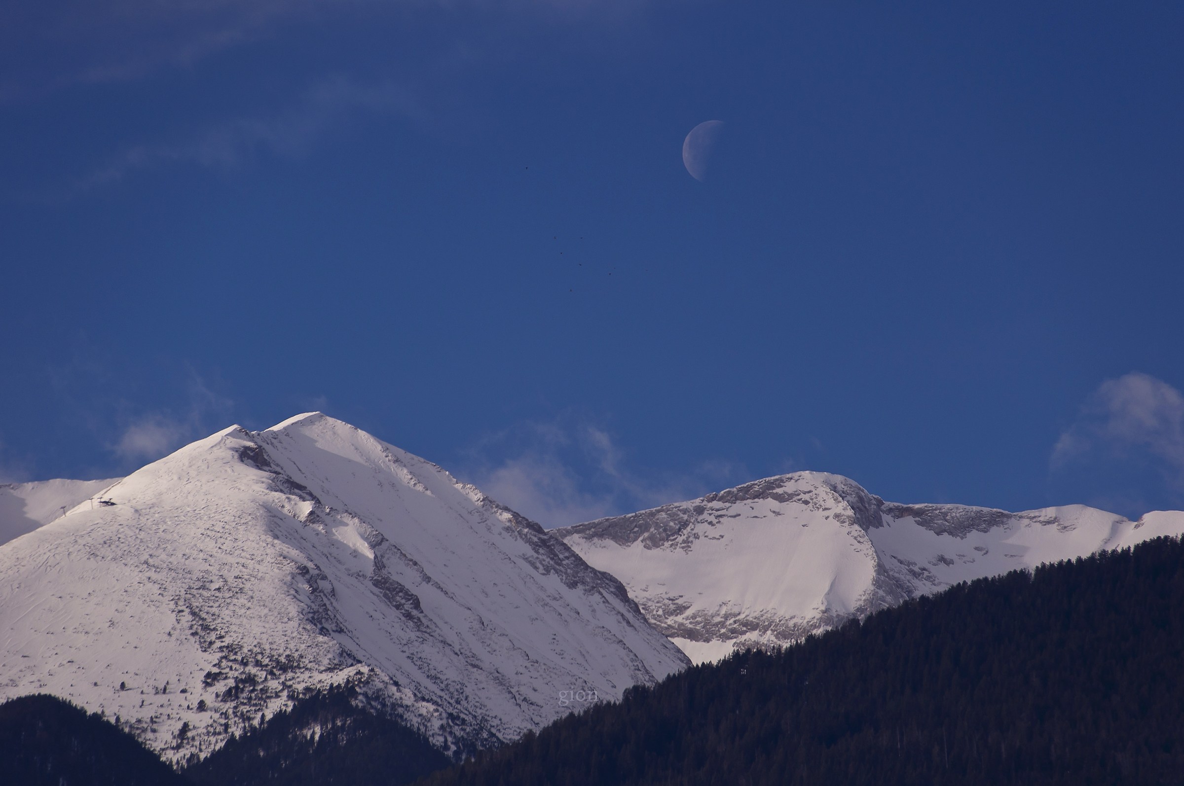 Luna di giorno sopra l'inverno