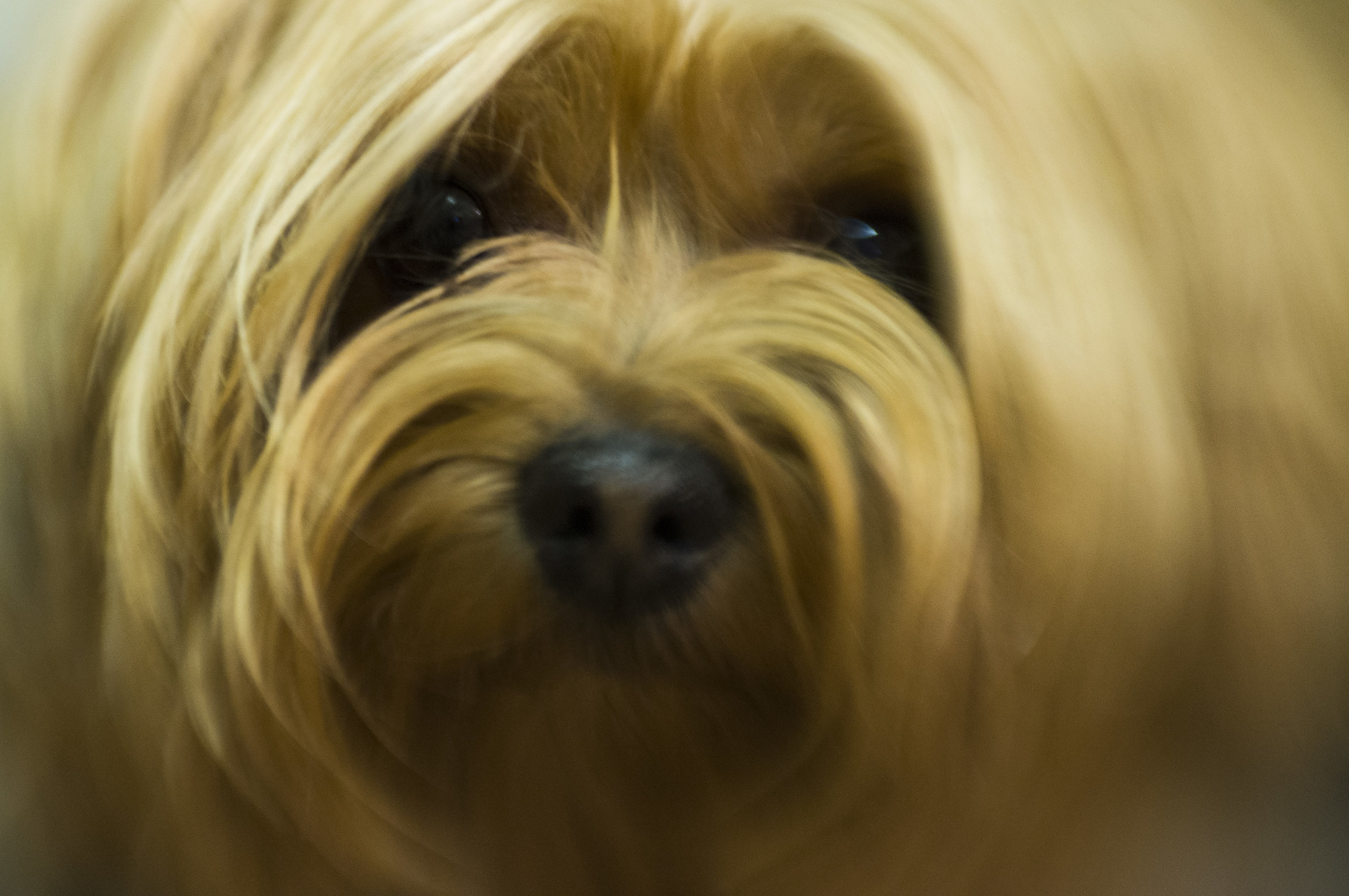 Michell-Lensbaby 2,0