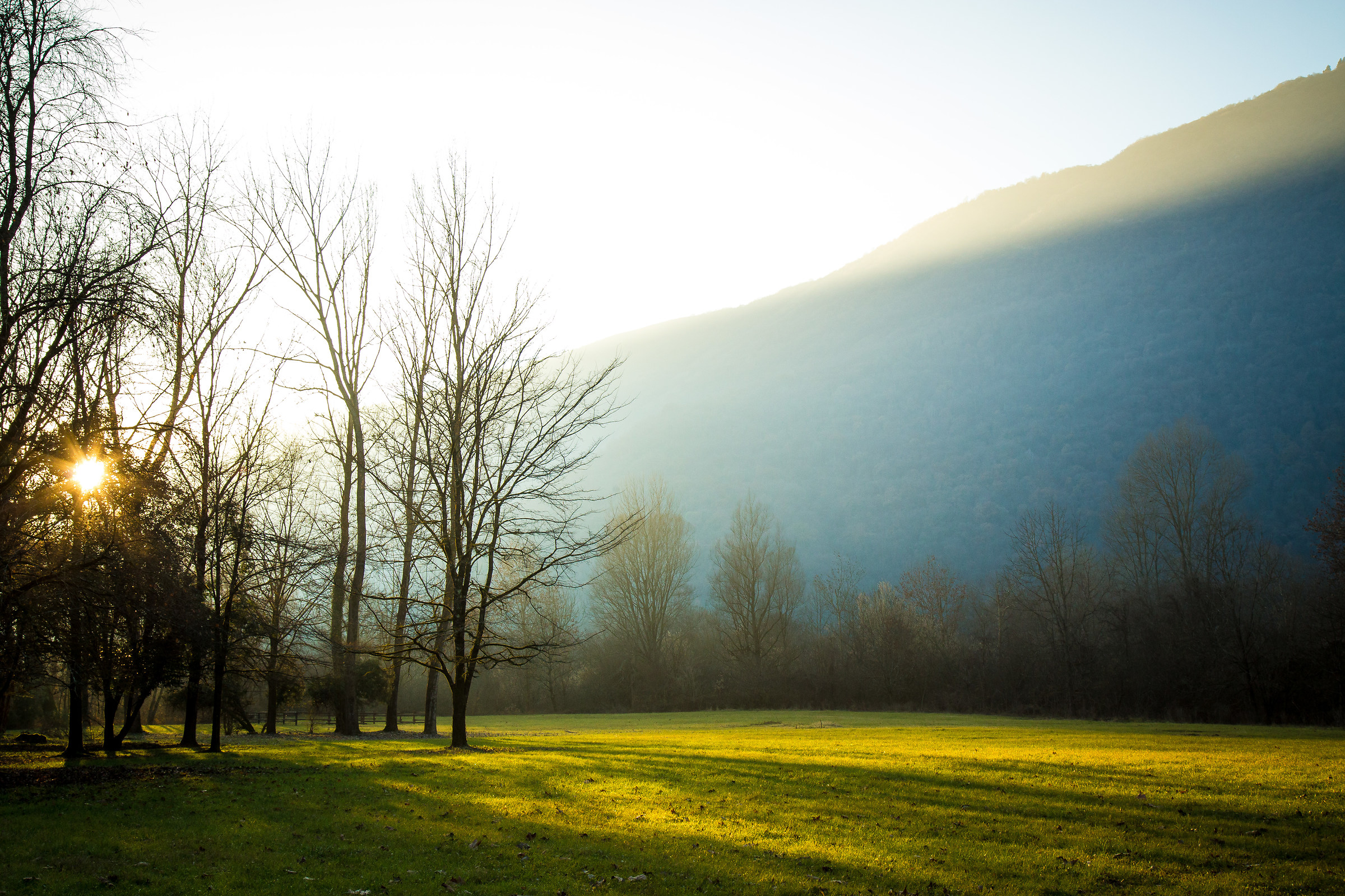 Praterie, Palù di Livenza