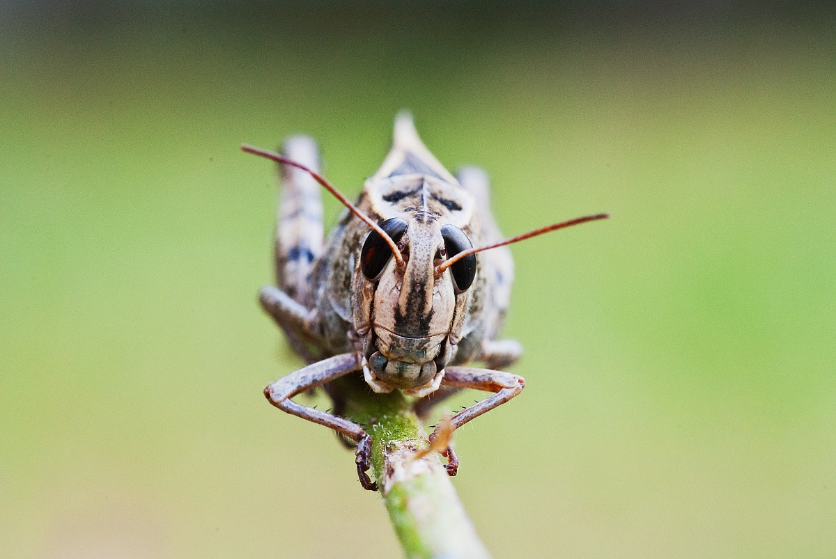 Sonnellino ad alta quota!