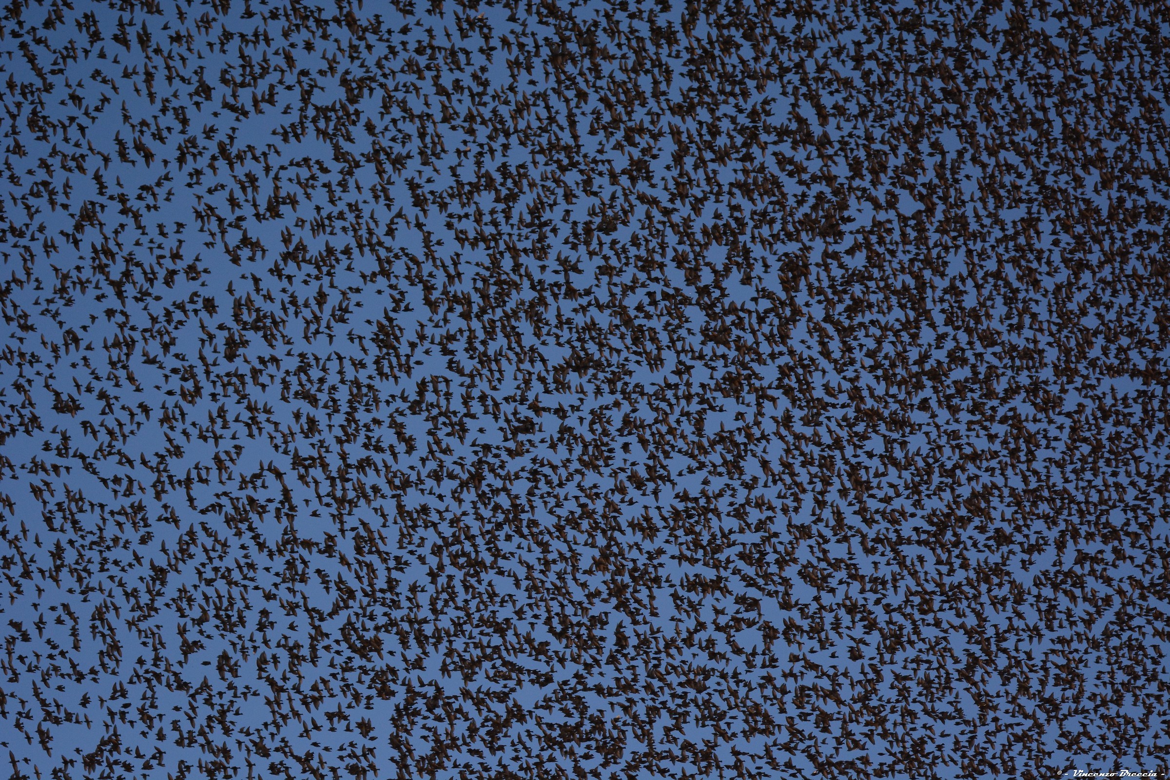 cielo oscurato. letteralmente.