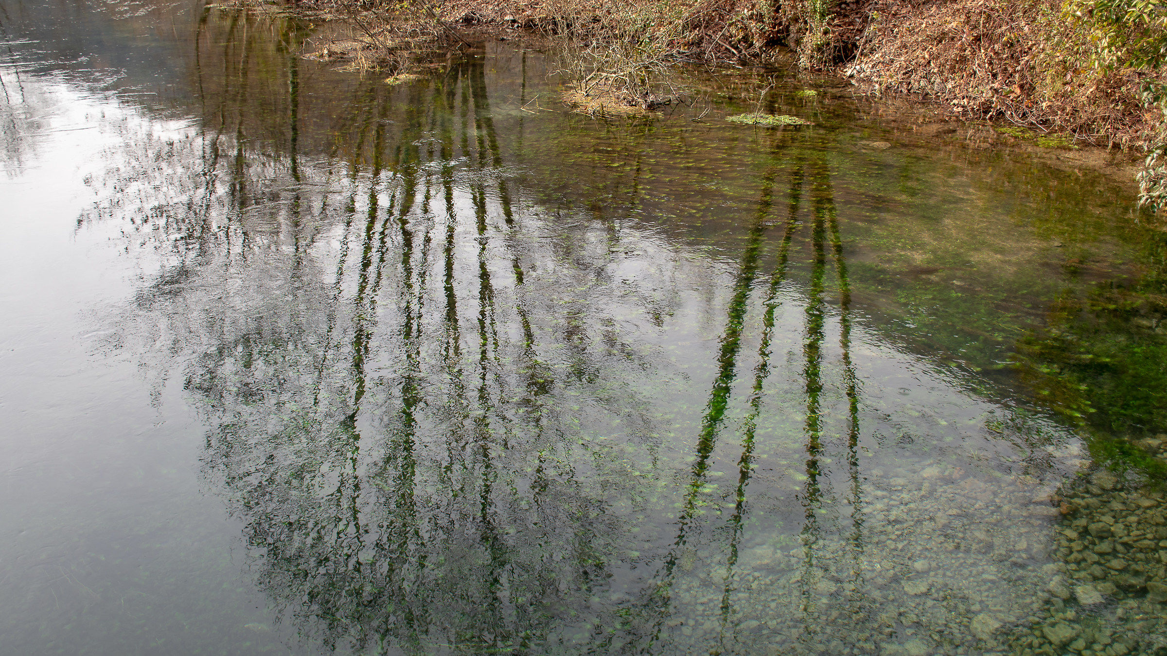 Riflessi sul Livenza