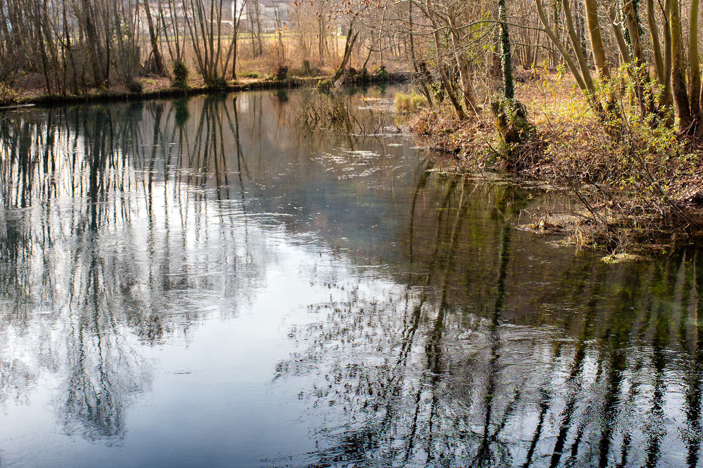 Riflessi sul Livenza