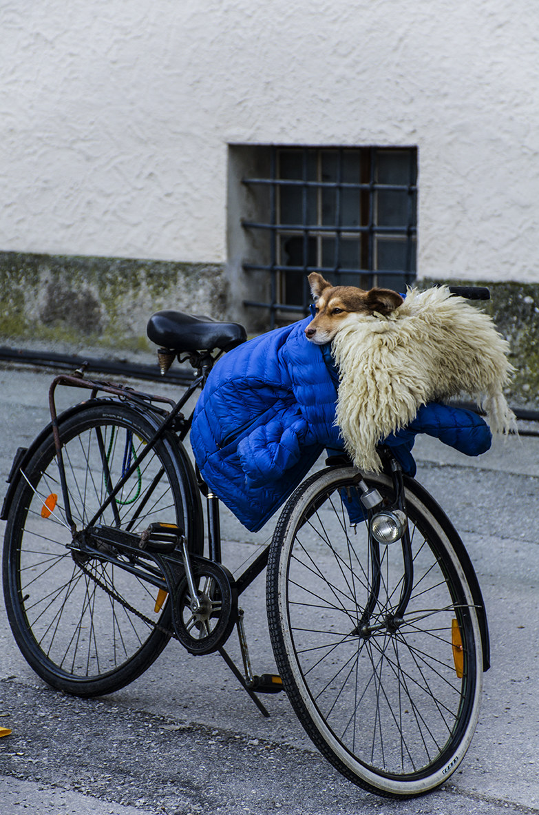 Brrrr.... che freddo